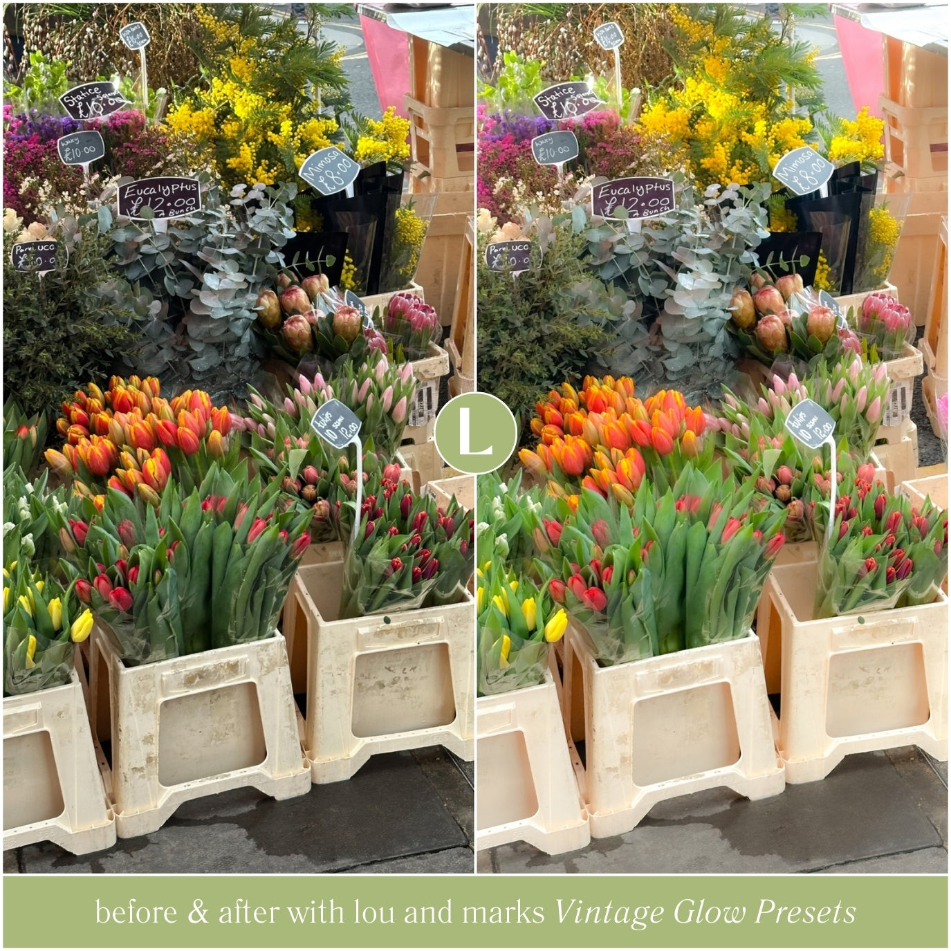 Dreamy Glow Lightroom Presets for photographer and Instagram influencer photo editing in Adobe Lightroom by Lou And Marks Presets