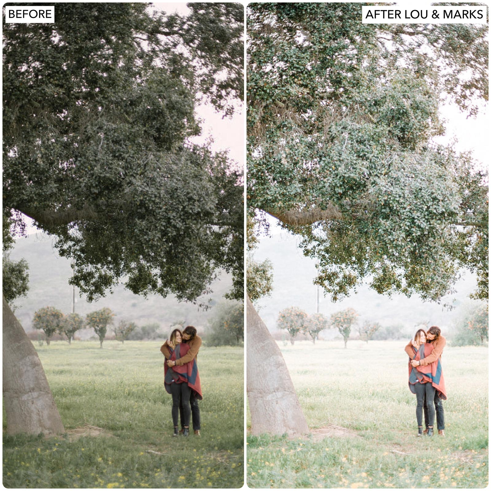 Free Lightroom App Boho Tones Lightroom Presets The Best Photo Editing Preset Filters For Lightroom Mobile And Desktop For Photographers and Instagram Influencers By Lou And Marks Presets