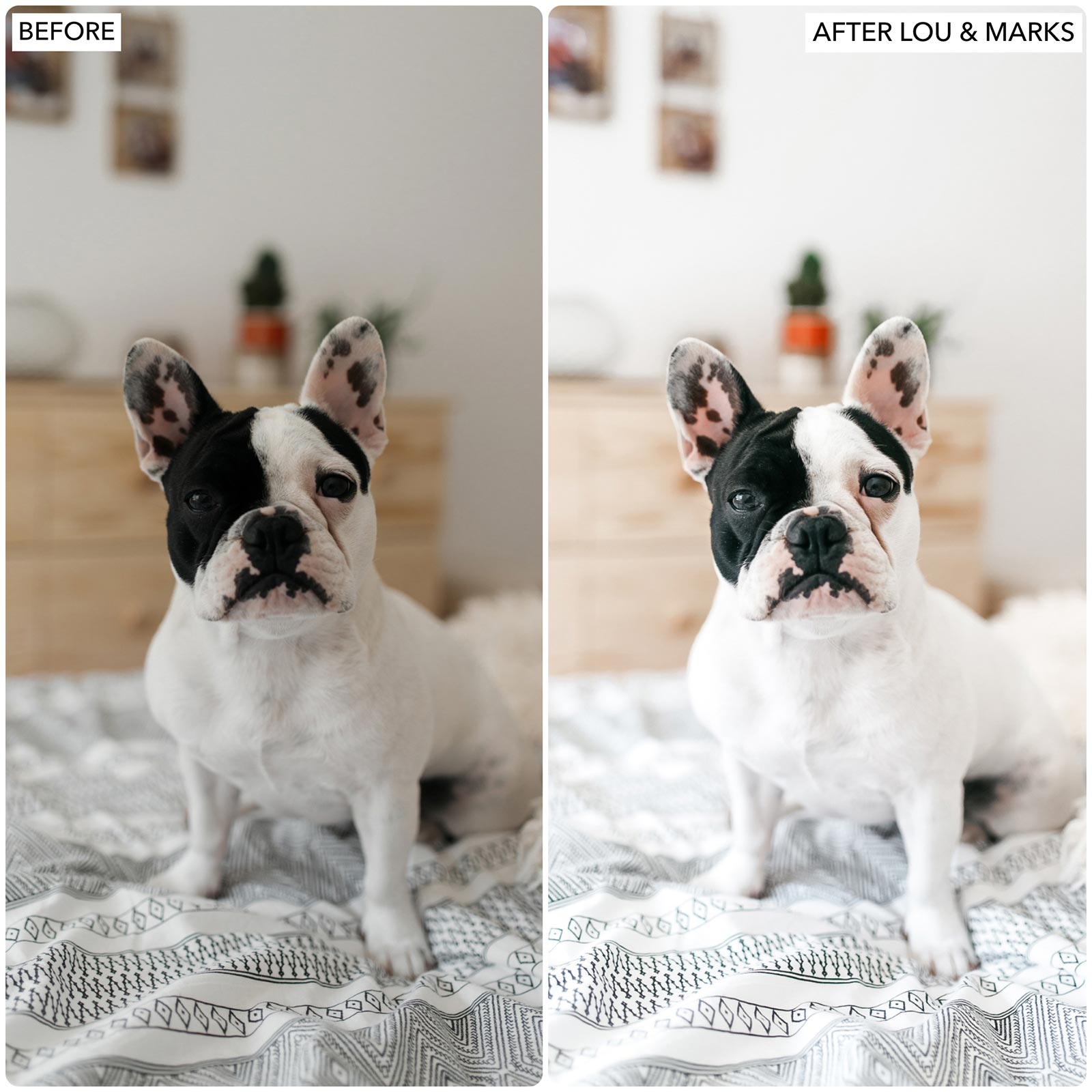 Adobe Bright And Airy Lightroom Presets The Best Photo Editing Preset Filters For Lightroom Mobile And Desktop For Photographers and Instagram Influencers By Lou And Marks Presets