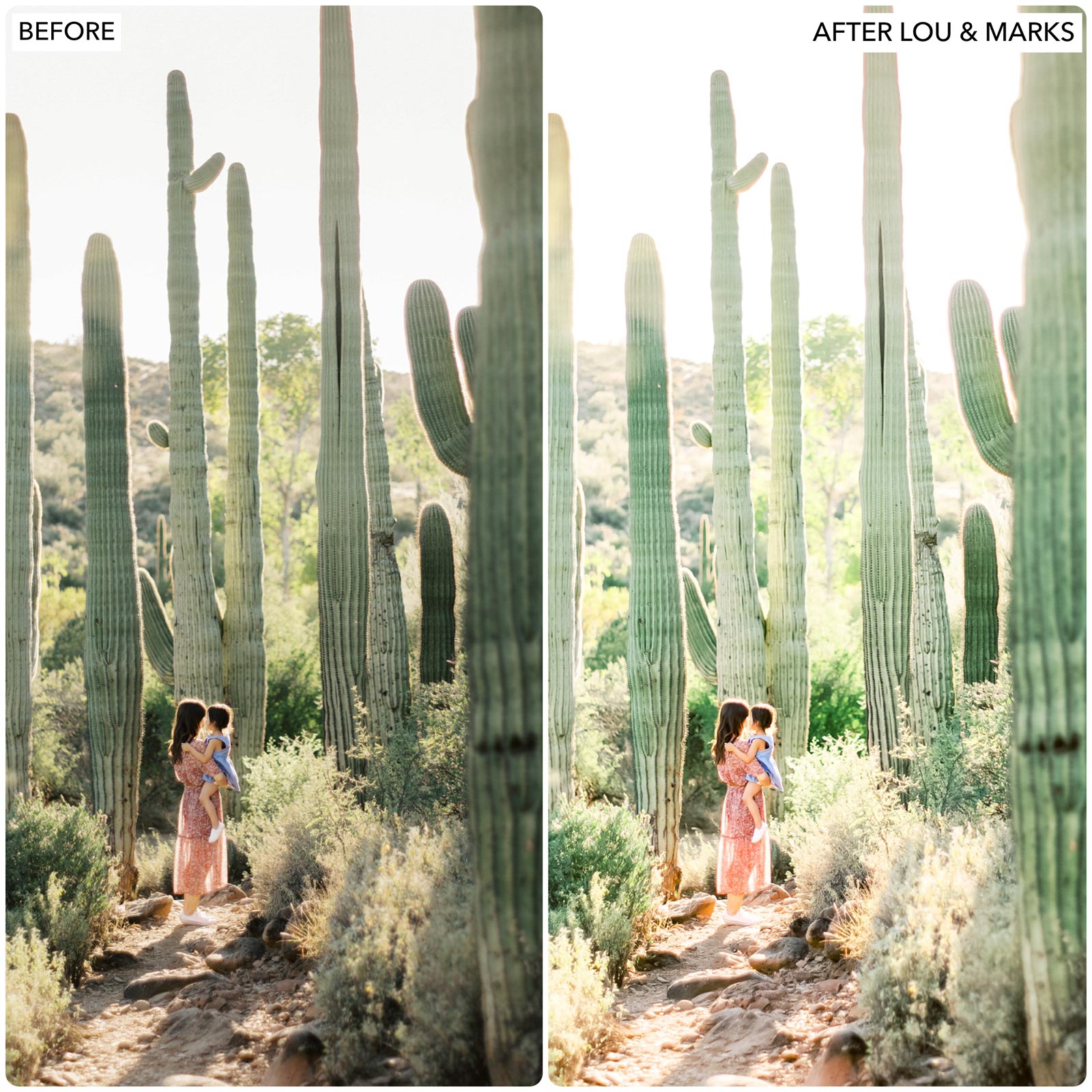 Natural Lightroom Presets by Lou and Marks Presets