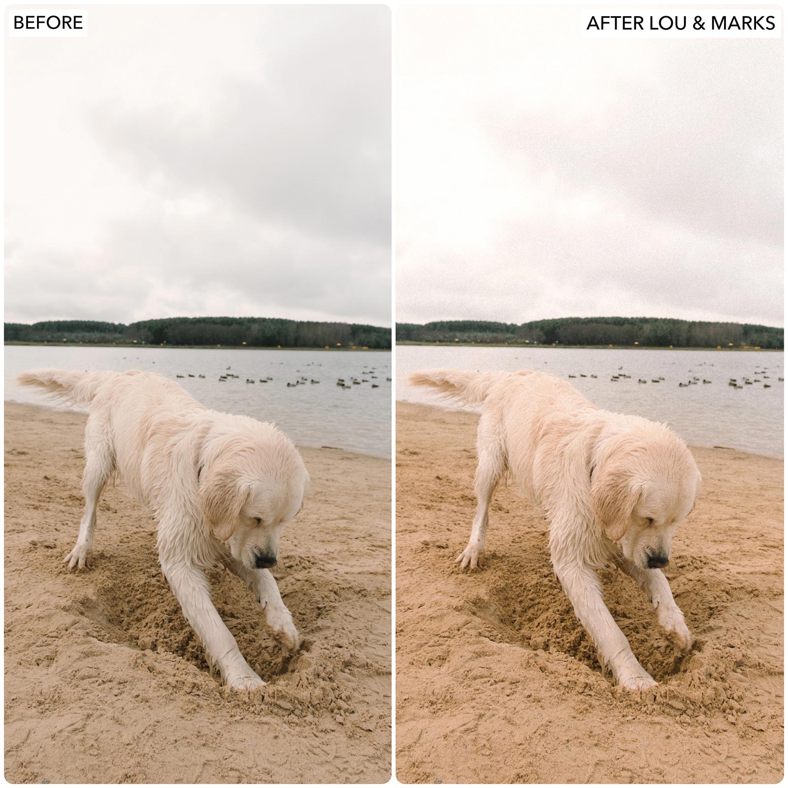 No Filter Lightroom Presets by Lou and Marks Presets