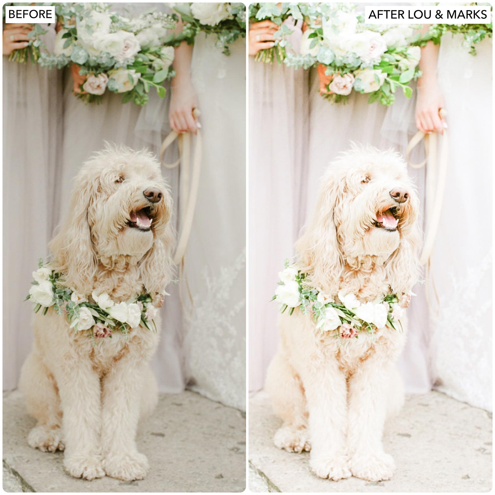 Download Wedding Lightroom Presets The Best Photo Editing Preset Filters For Wedding and Portrait Photography With Lightroom Mobile And Desktop For Photographers and Instagram Influencers By Lou And Marks Presets