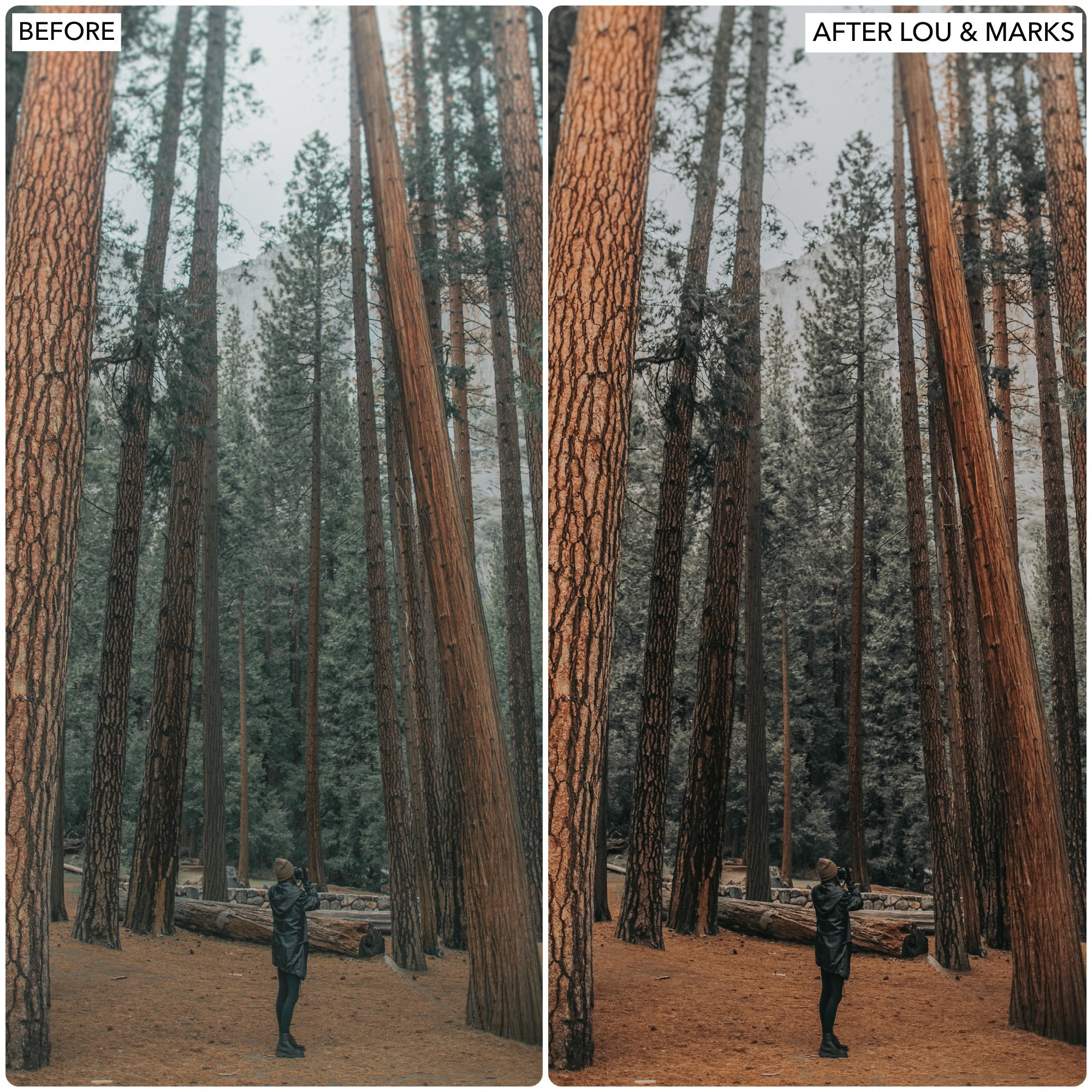 Yosemite Lightroom Presets by Lou and Marks Presets