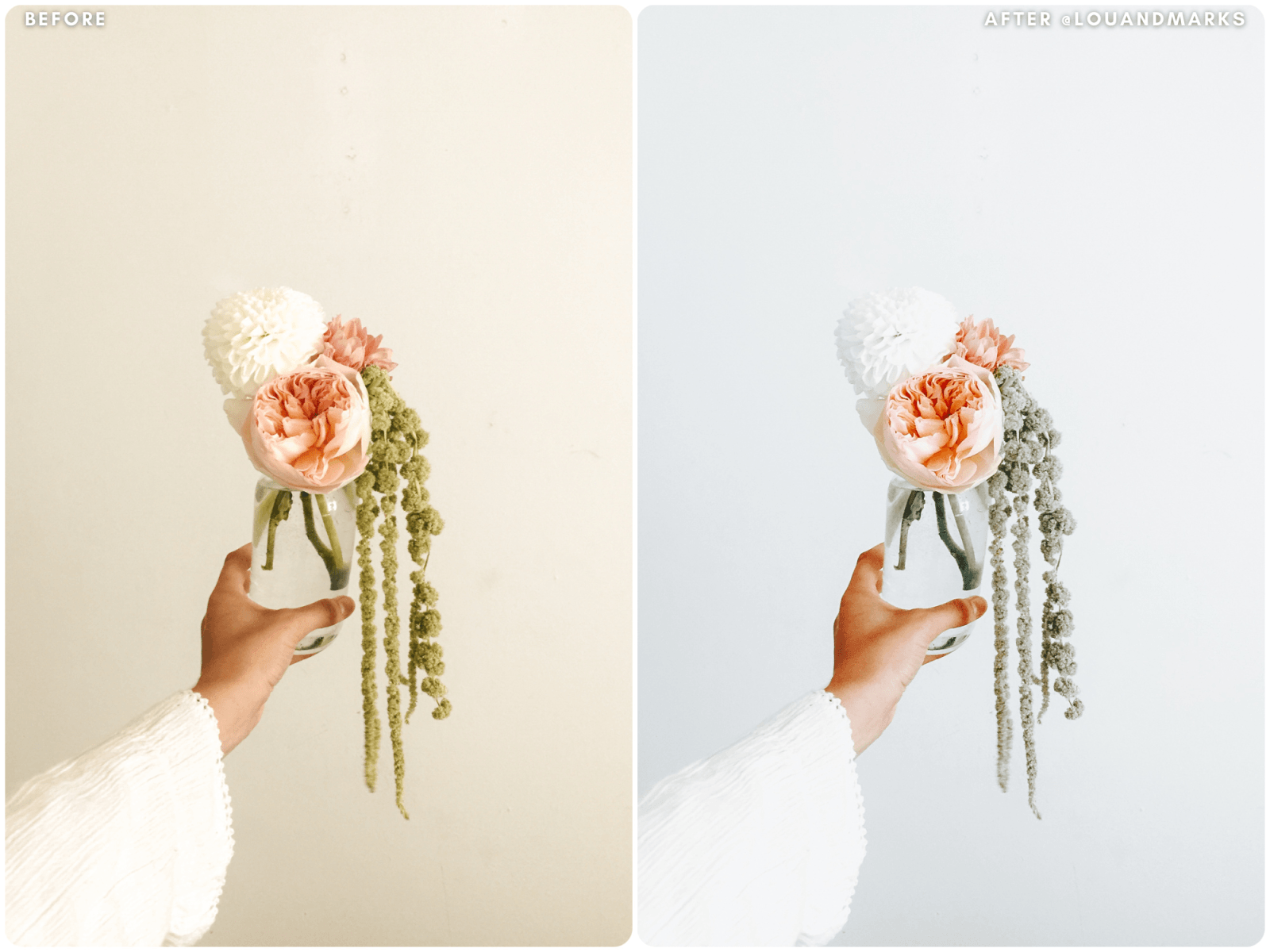 Aloe Vera Presets - Lou & Marks Presets