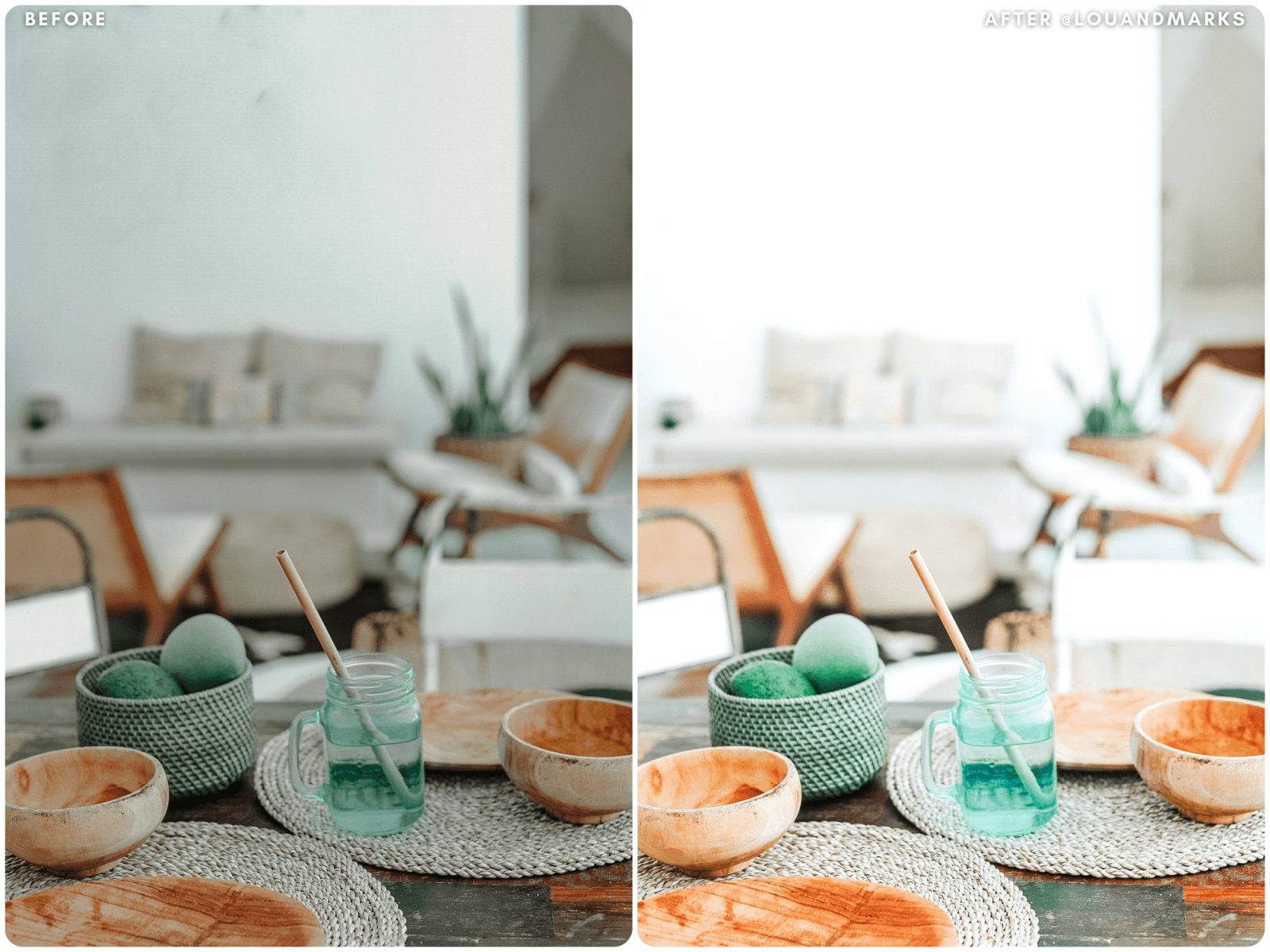 Aloe Vera Presets - Lou & Marks Presets