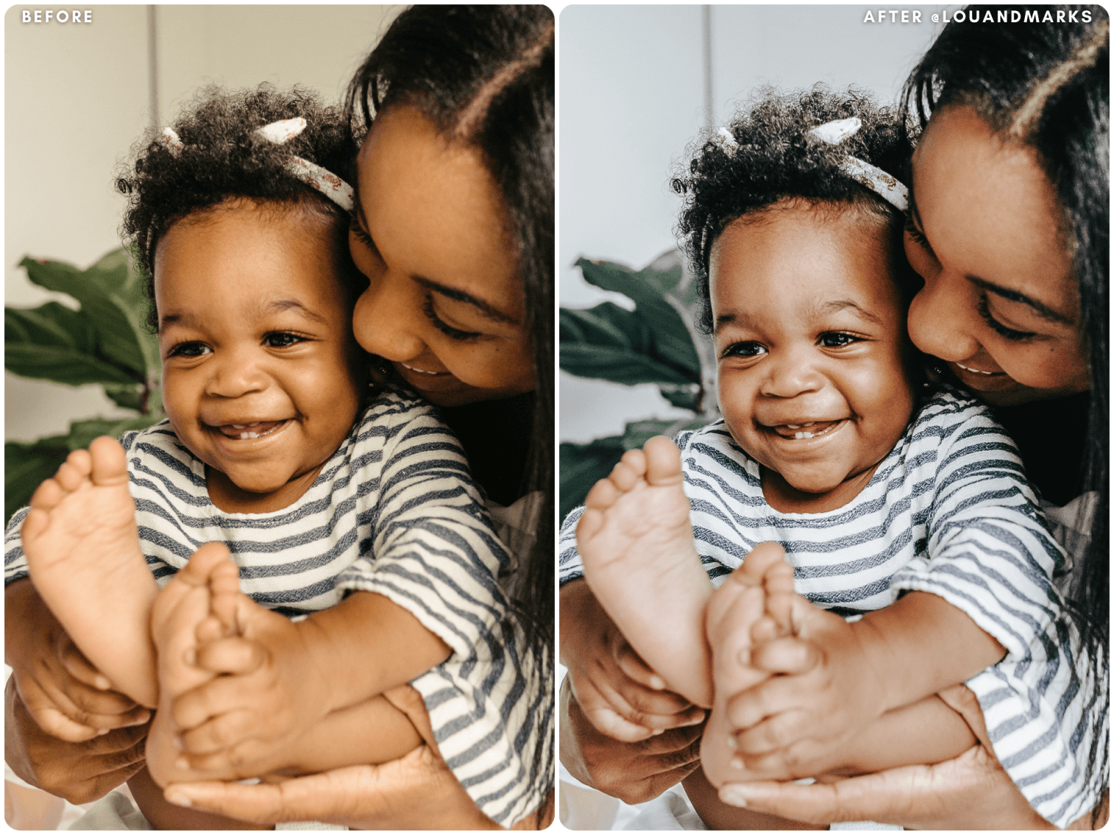 Aloe Vera Presets - Lou & Marks Presets
