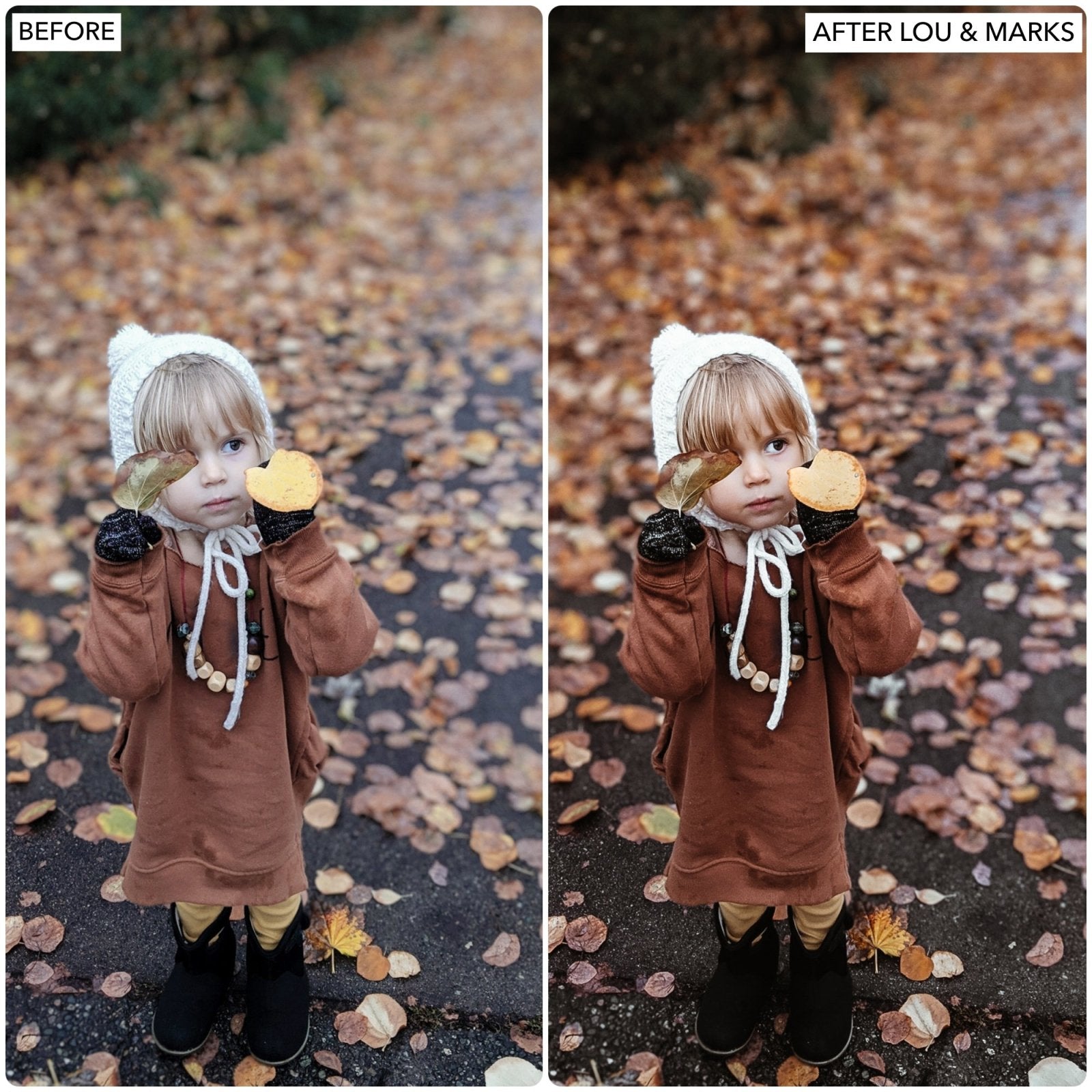 Rich Autumn Presets - Lou & Marks Presets