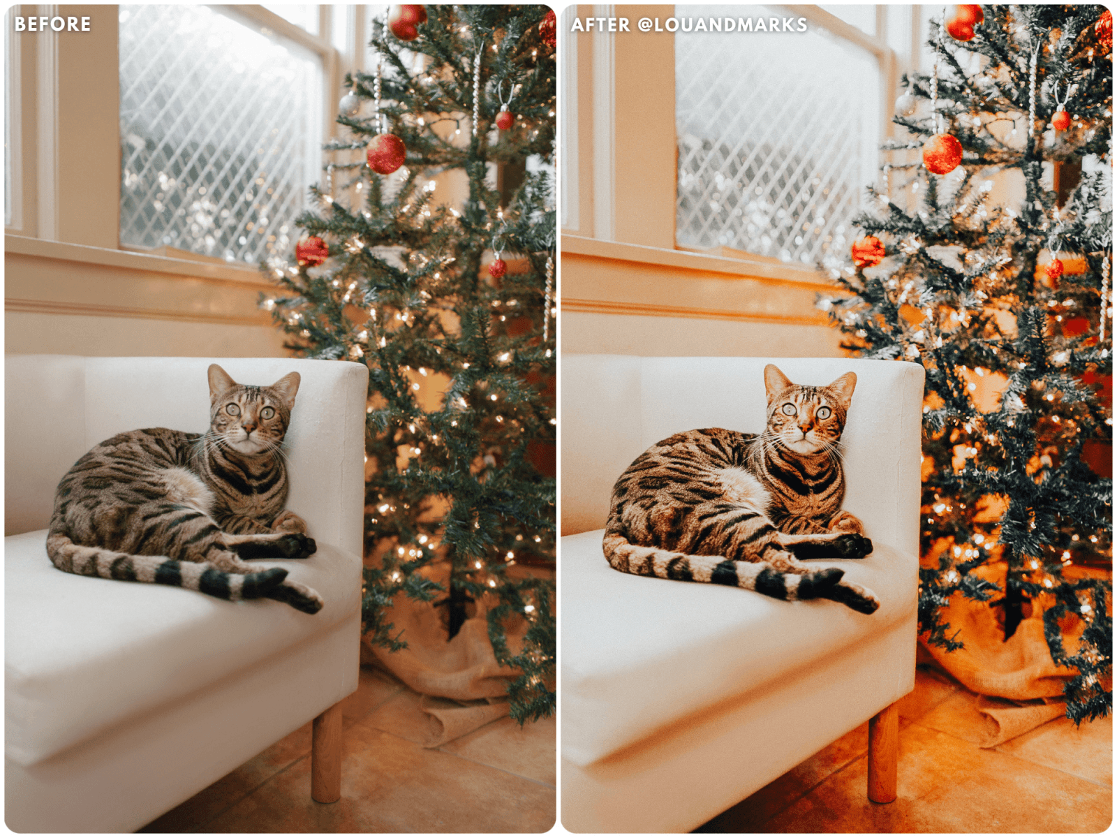 Salted Caramel Presets - Lou & Marks Presets