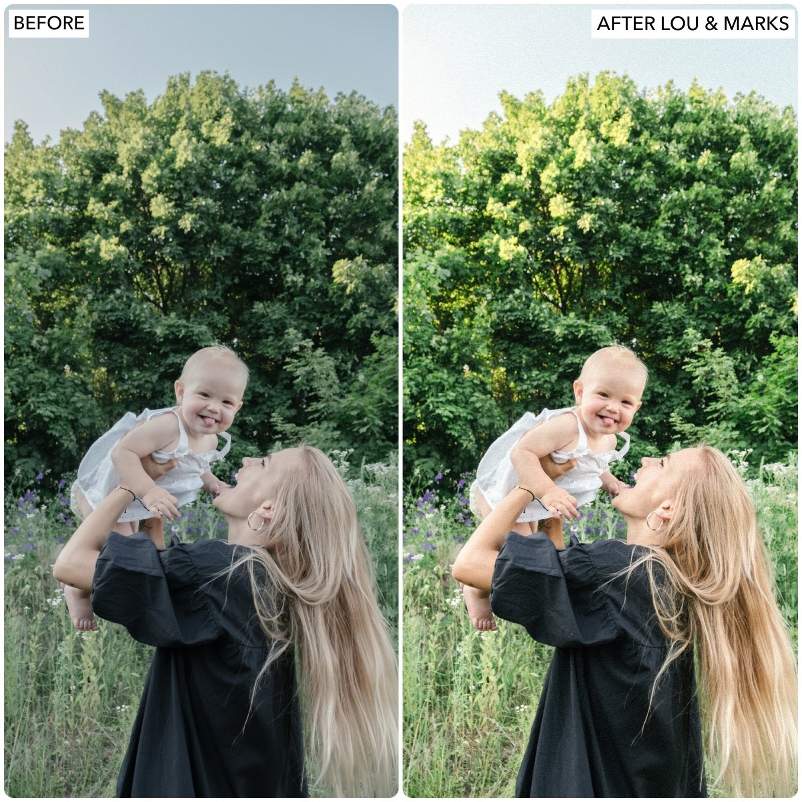 Spring Dream Presets - Lou & Marks Presets