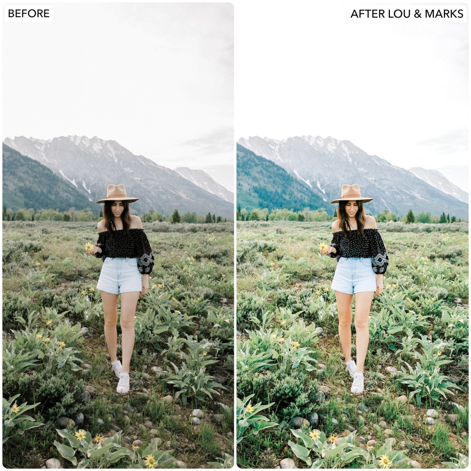 Spring Dream Presets - Lou & Marks Presets