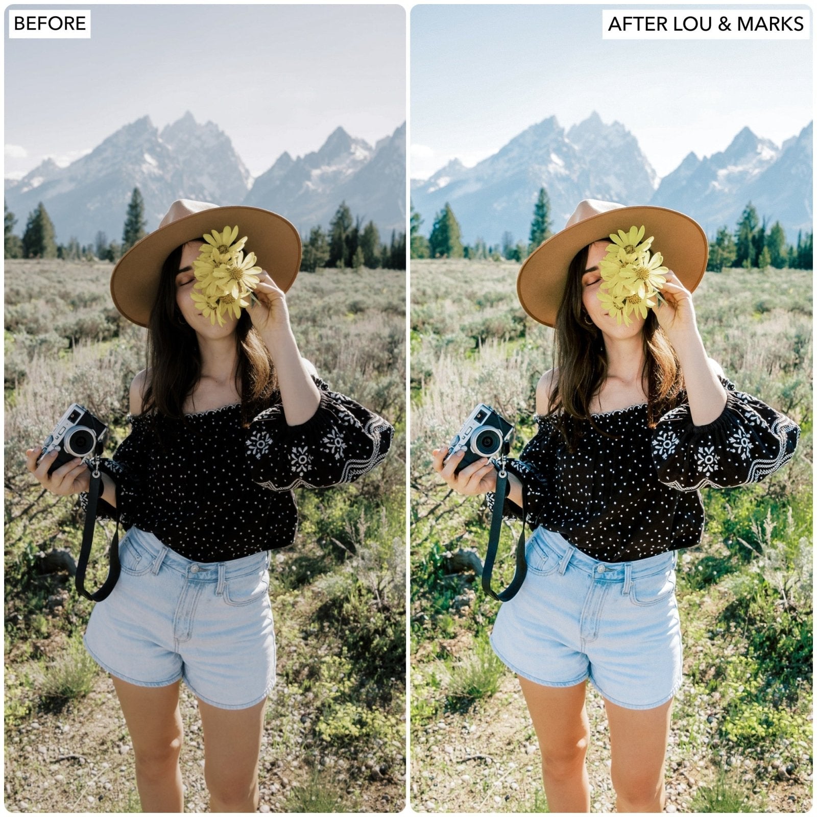 Spring Dream Presets - Lou & Marks Presets