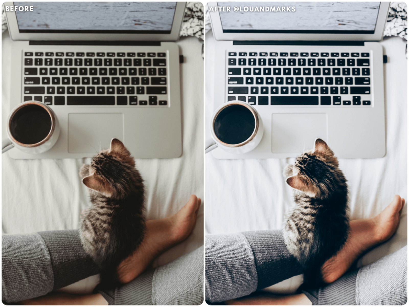 Sugar & Spice Presets - Lou & Marks Presets