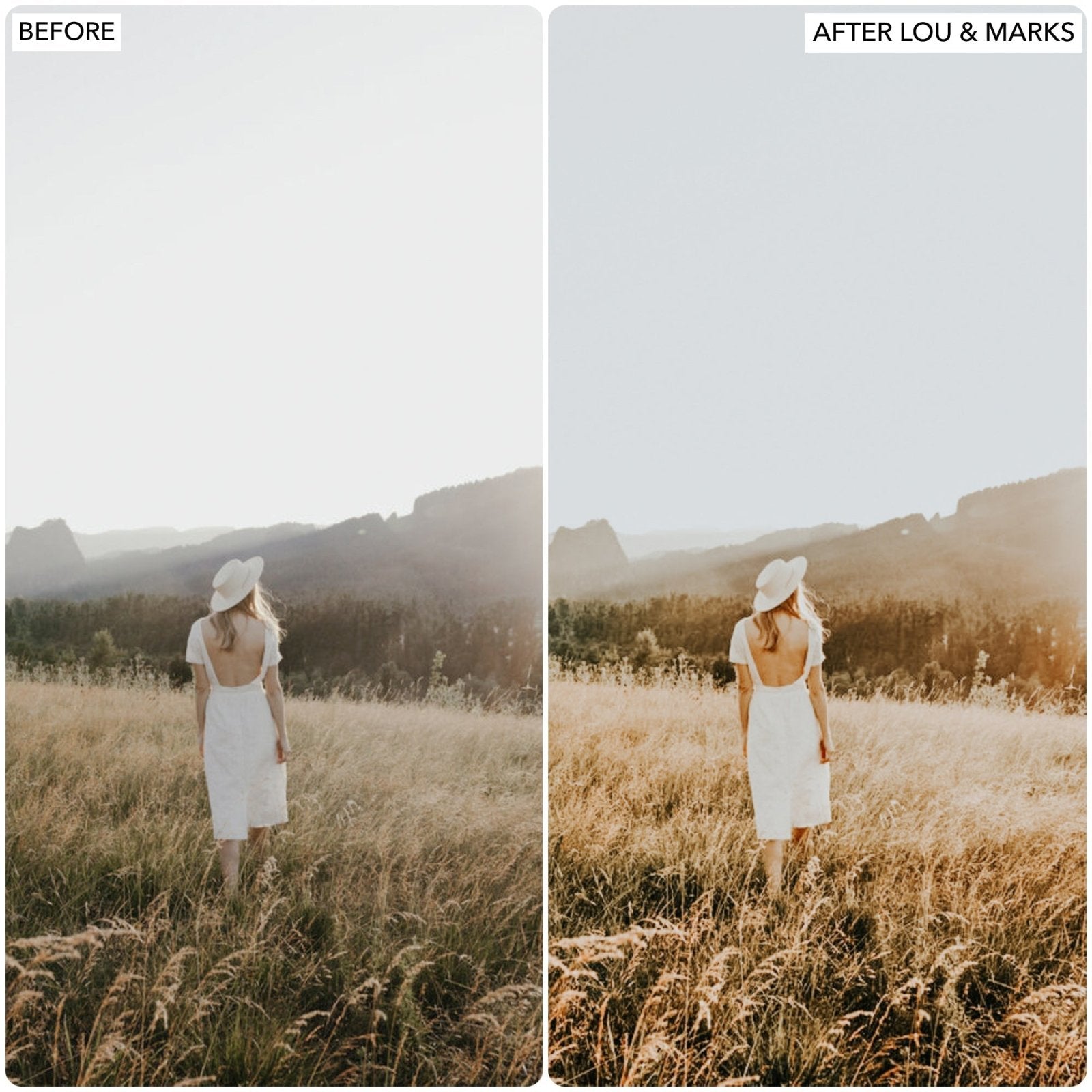 Wonderland Warm Presets - Lou & Marks Presets
