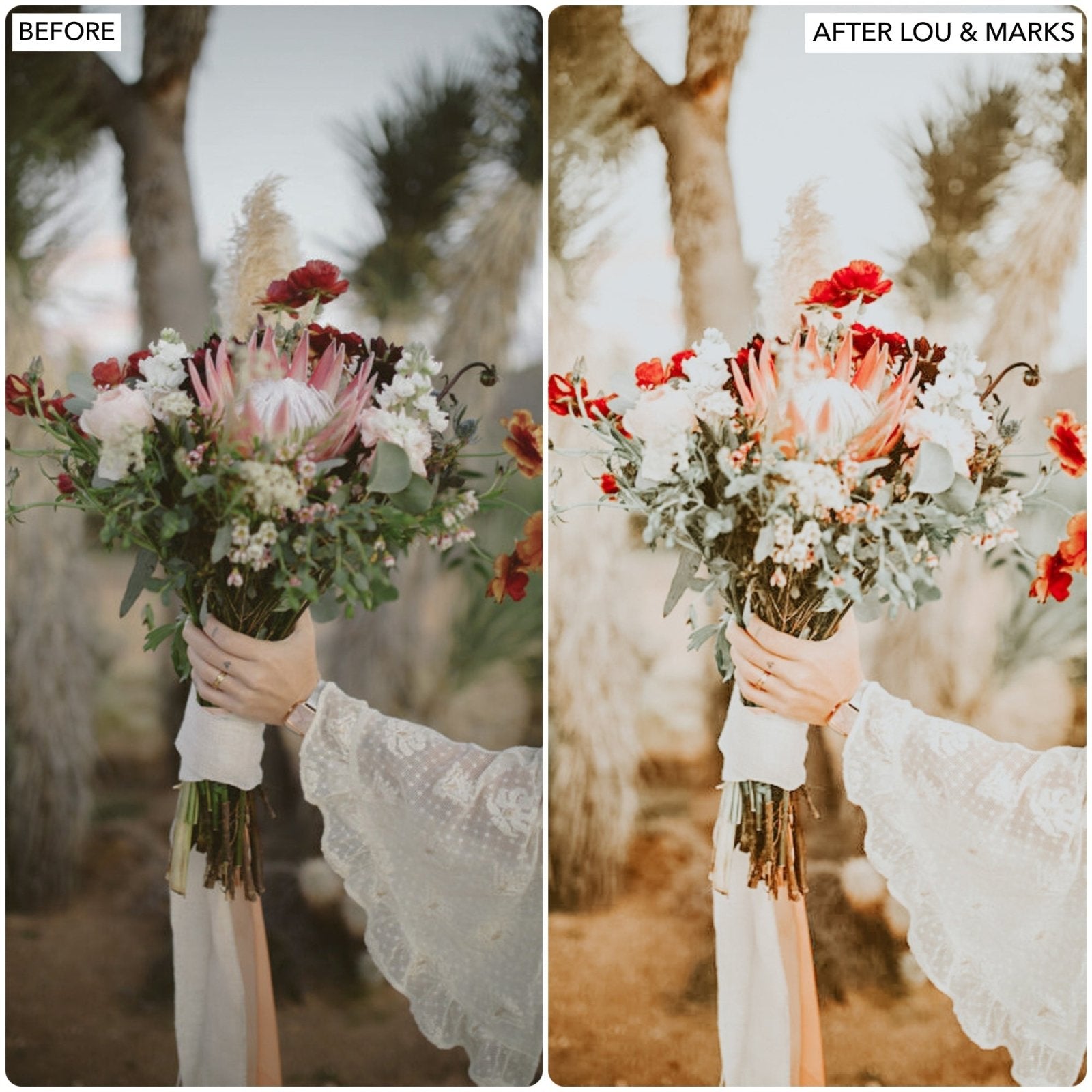Wonderland Warm Presets - Lou & Marks Presets