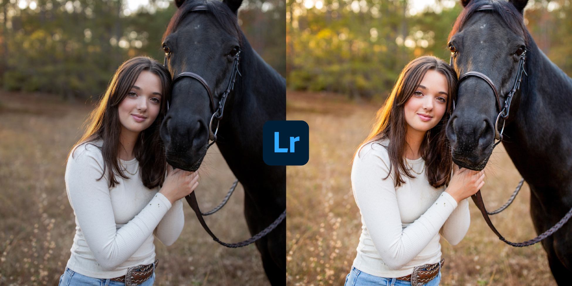 Best AI Lightroom Presets 2026 By Lou And Marks Presets