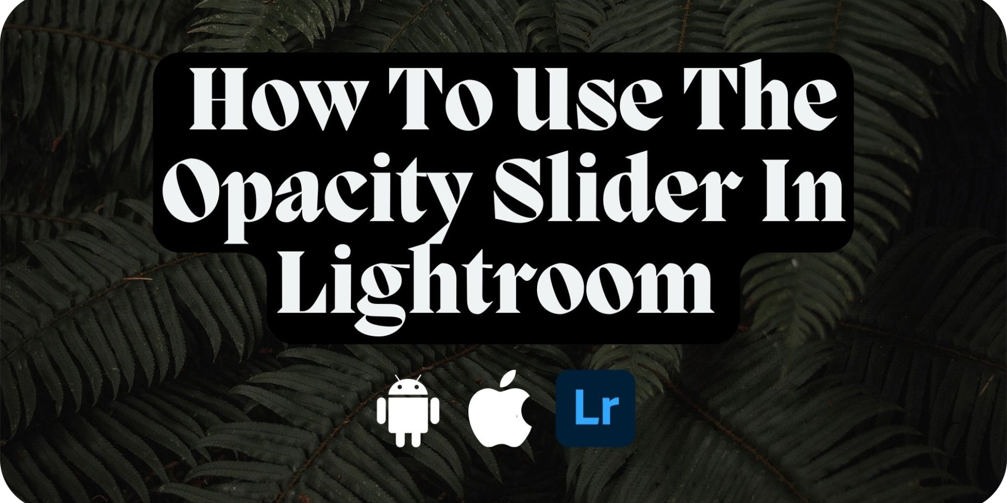 How To Use The Opacity Slider In Lightroom - Lou & Marks Presets