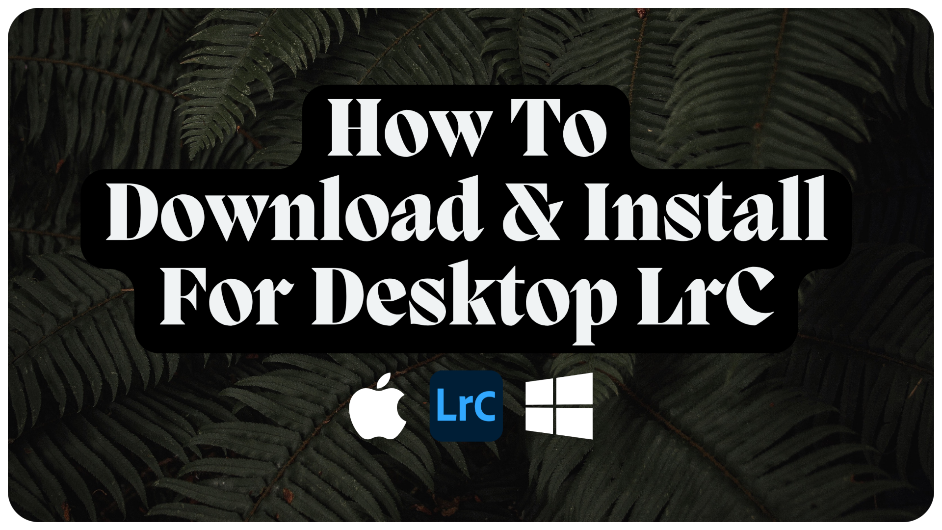 Lightroom Classic Install - Lou & Marks Presets