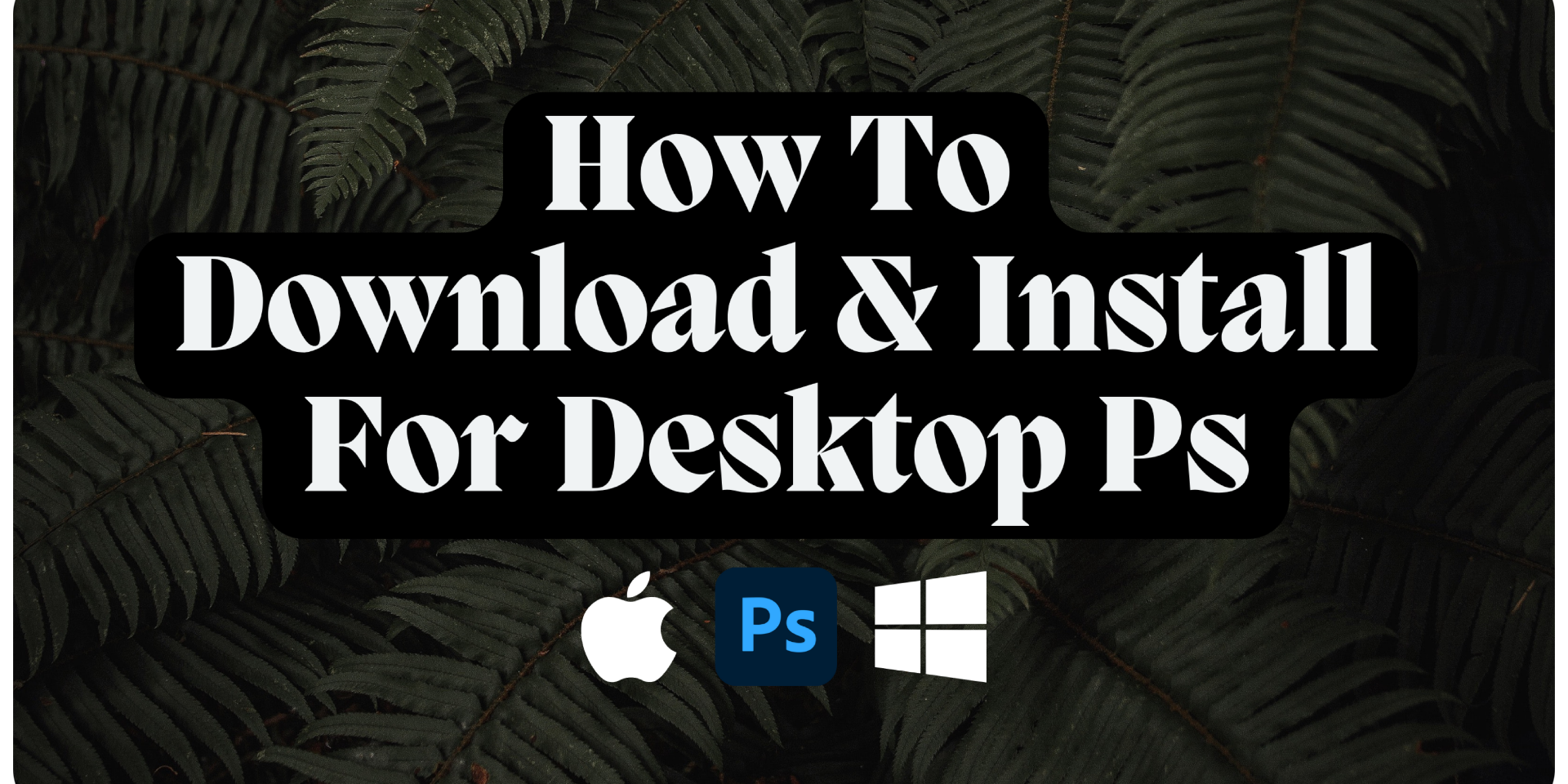 Photoshop Install - Lou & Marks Presets