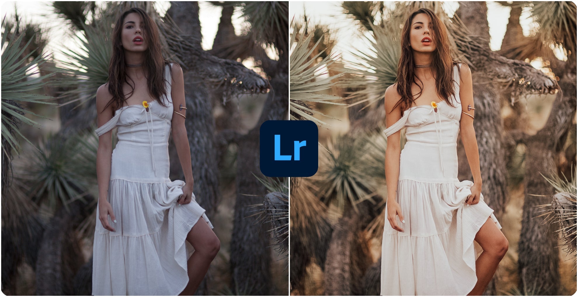 The Best Lightroom Presets For Photographers