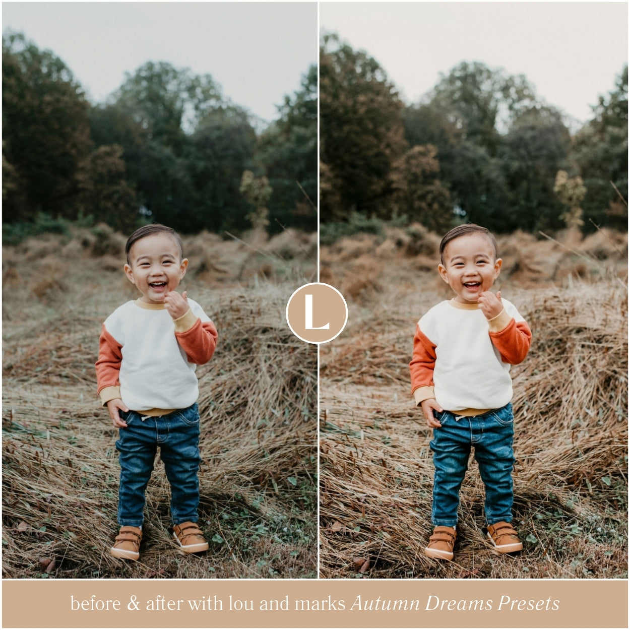Autumn Dreams Lightroom Presets by Lou and Marks Presets