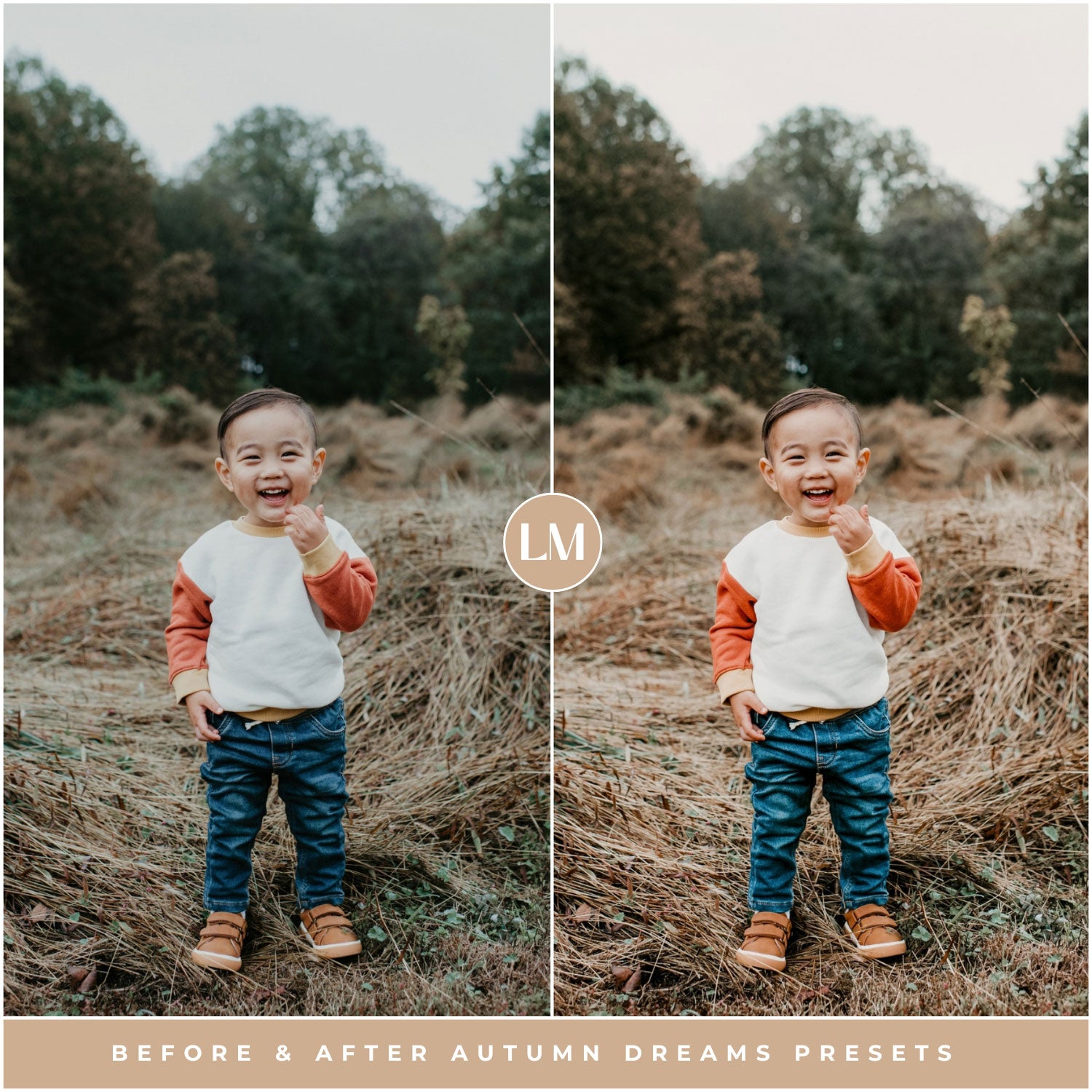 Autumn Dreams Lightroom Presets by Lou and Marks Presets