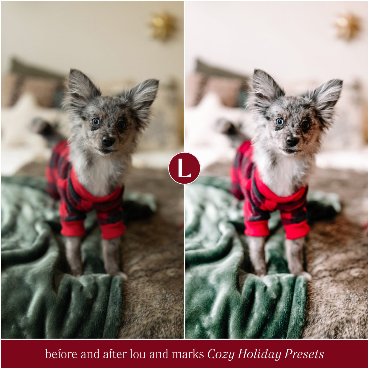 Cozy Holiday Lightroom Presets By Lou And Marks Presets For Christmas photo editing Pet Photo Filters