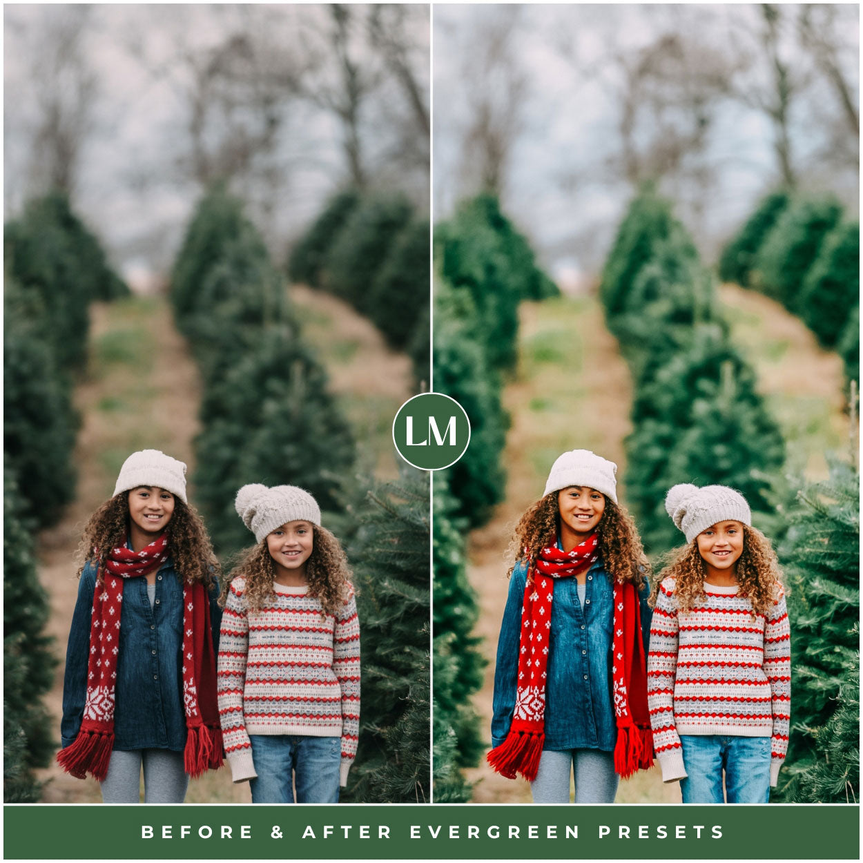 Evergreen Lightroom Presets For Christmas Tree And Winter Photo Editing In Adobe Lightroom By Lou And Marks Presets For Photographers