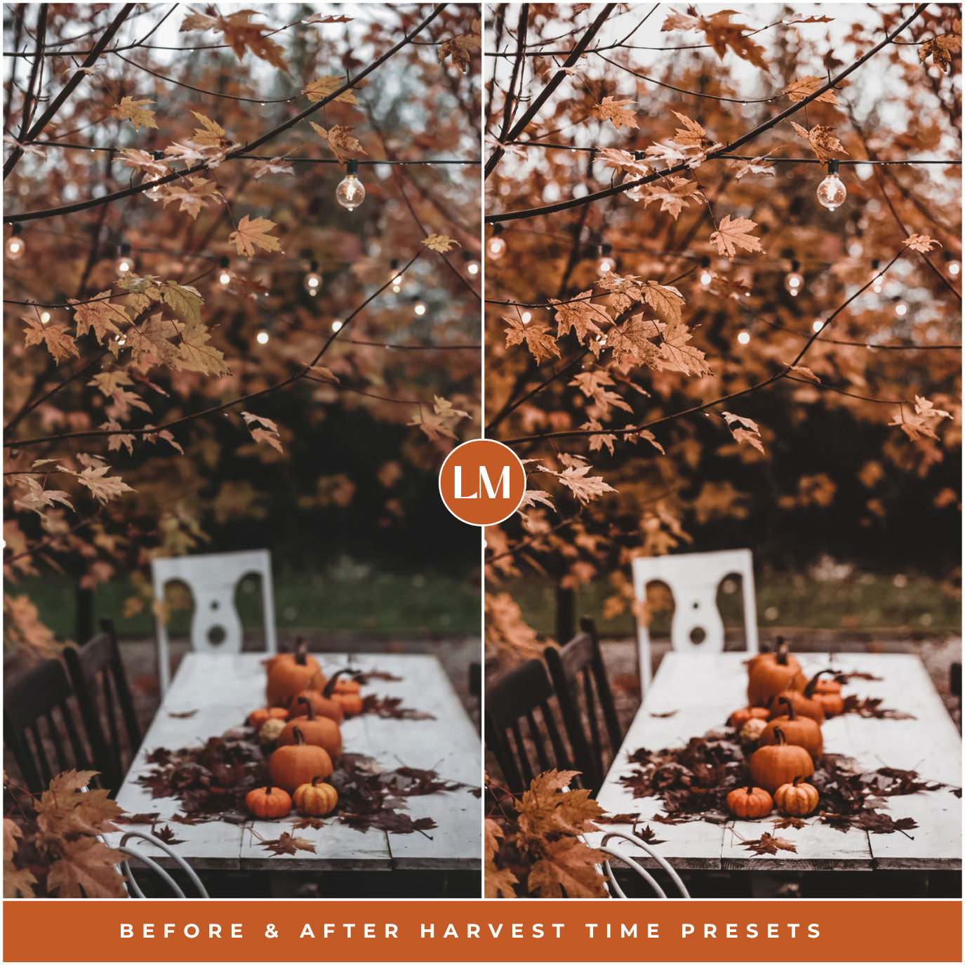 Harvest Time Lightroom Presets By Lou And Marks Presets