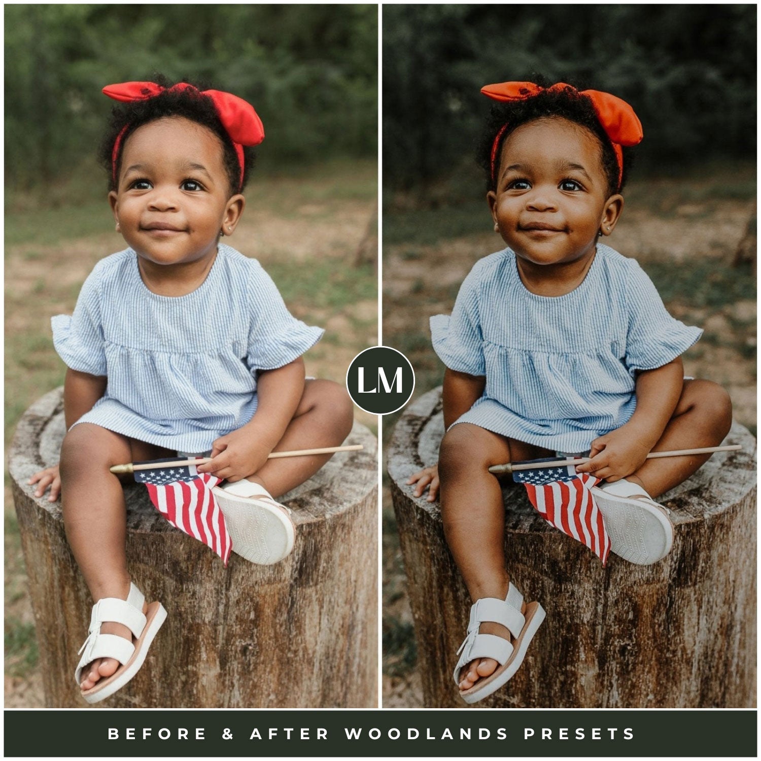 The Moody Woodlands Lightroom Presets For Photographers and Instagram By Lou And Marks Presets