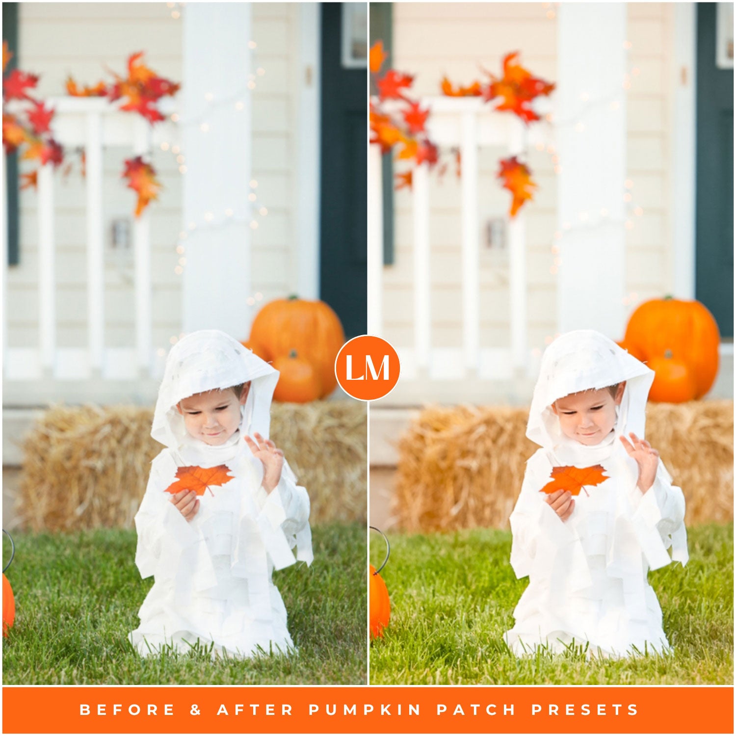Fall Pumpkin Patch Lightroom Presets By Lou And Marks Presets