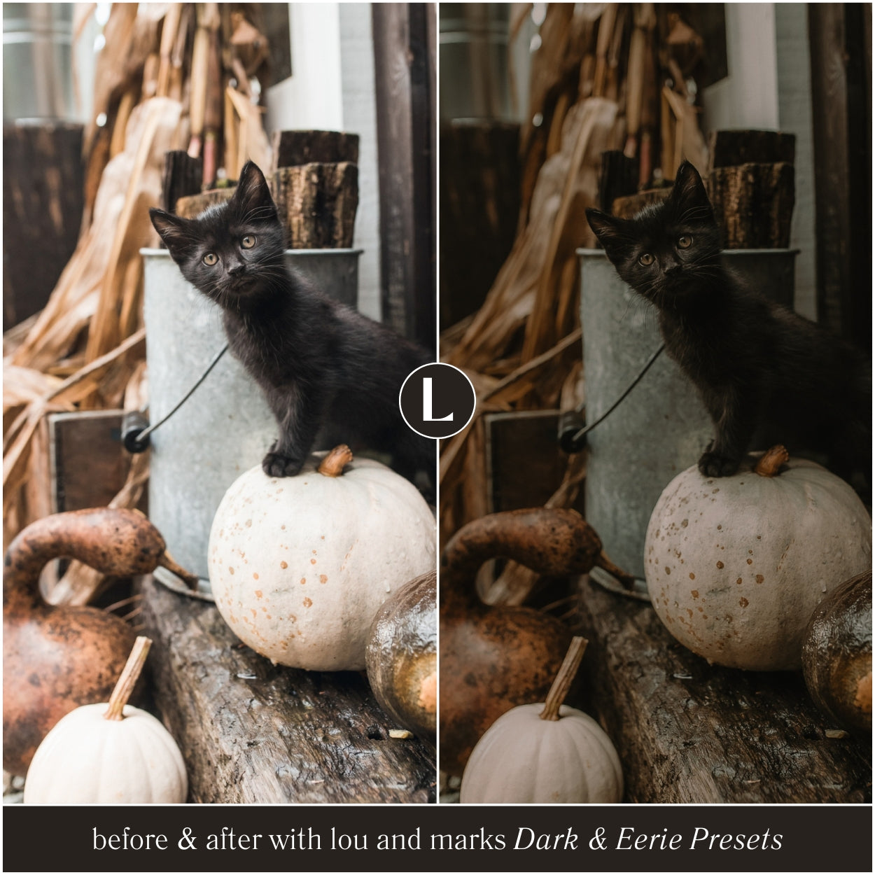 Dark And Eerie Lightroom Presets By Lou And Marks Presets
