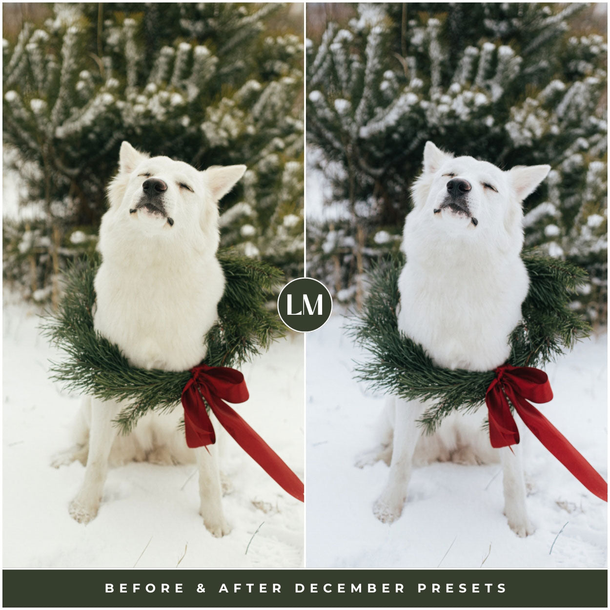 December Winter Lightroom Presets For Photographer Photo Editing By Lou And Marks Presets