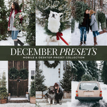 December winter Lightroom Presets By Lou And Marks Presets