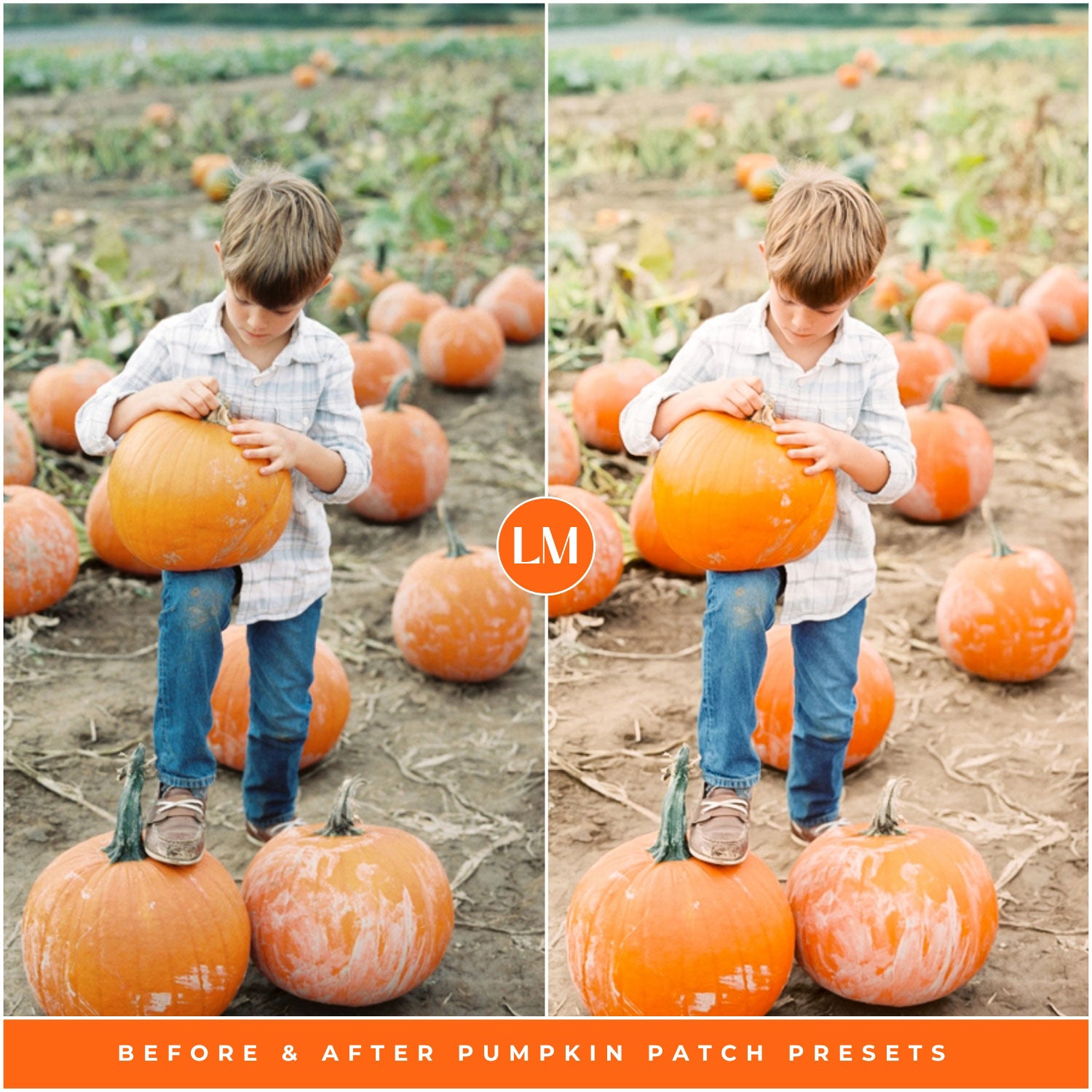 Fall Pumpkin Patch Lightroom Presets By Lou And Marks Presets