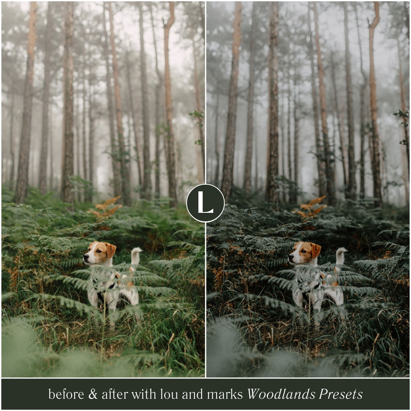 The Moody Woodlands Lightroom Presets For Photographers and Instagram By Lou And Marks Presets