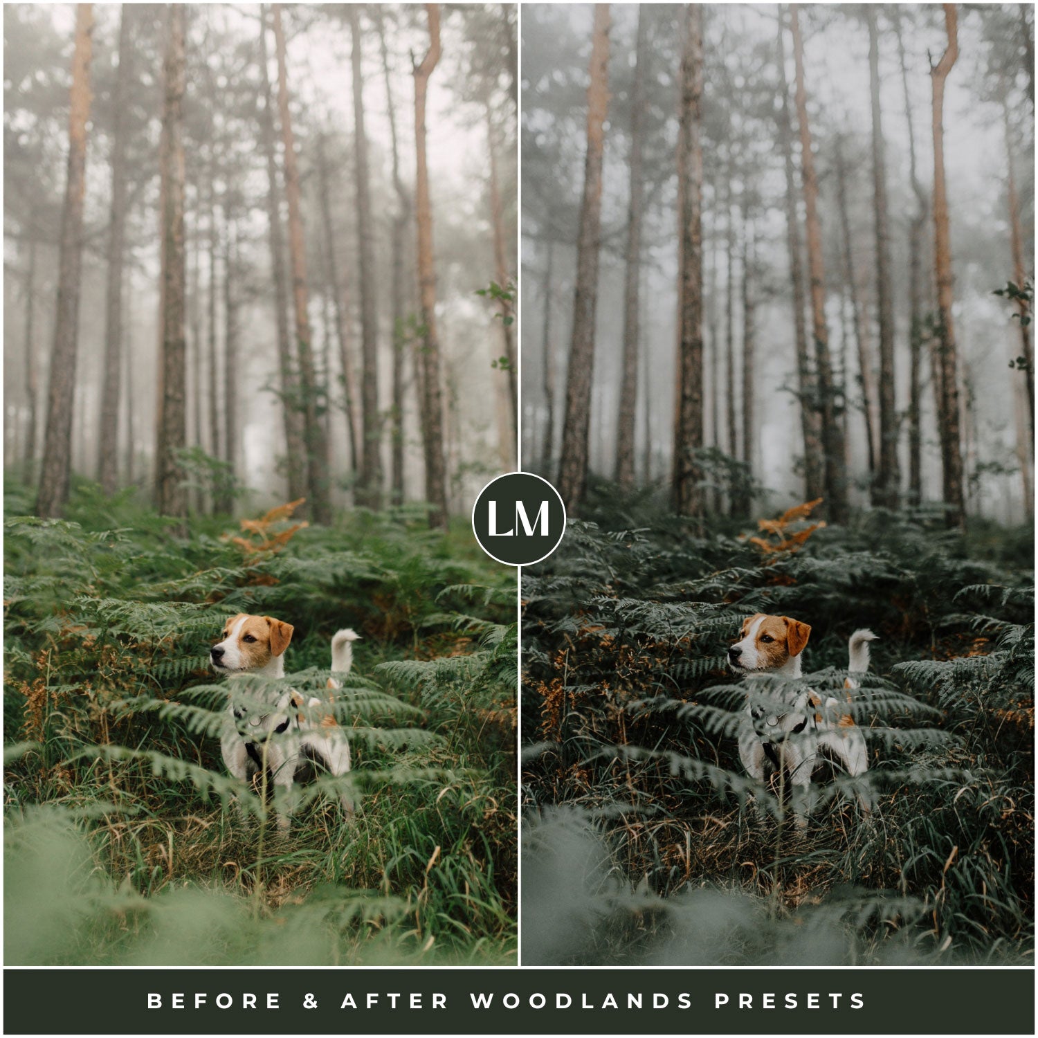 The Moody Woodlands Lightroom Presets For Photographers and Instagram By Lou And Marks Presets