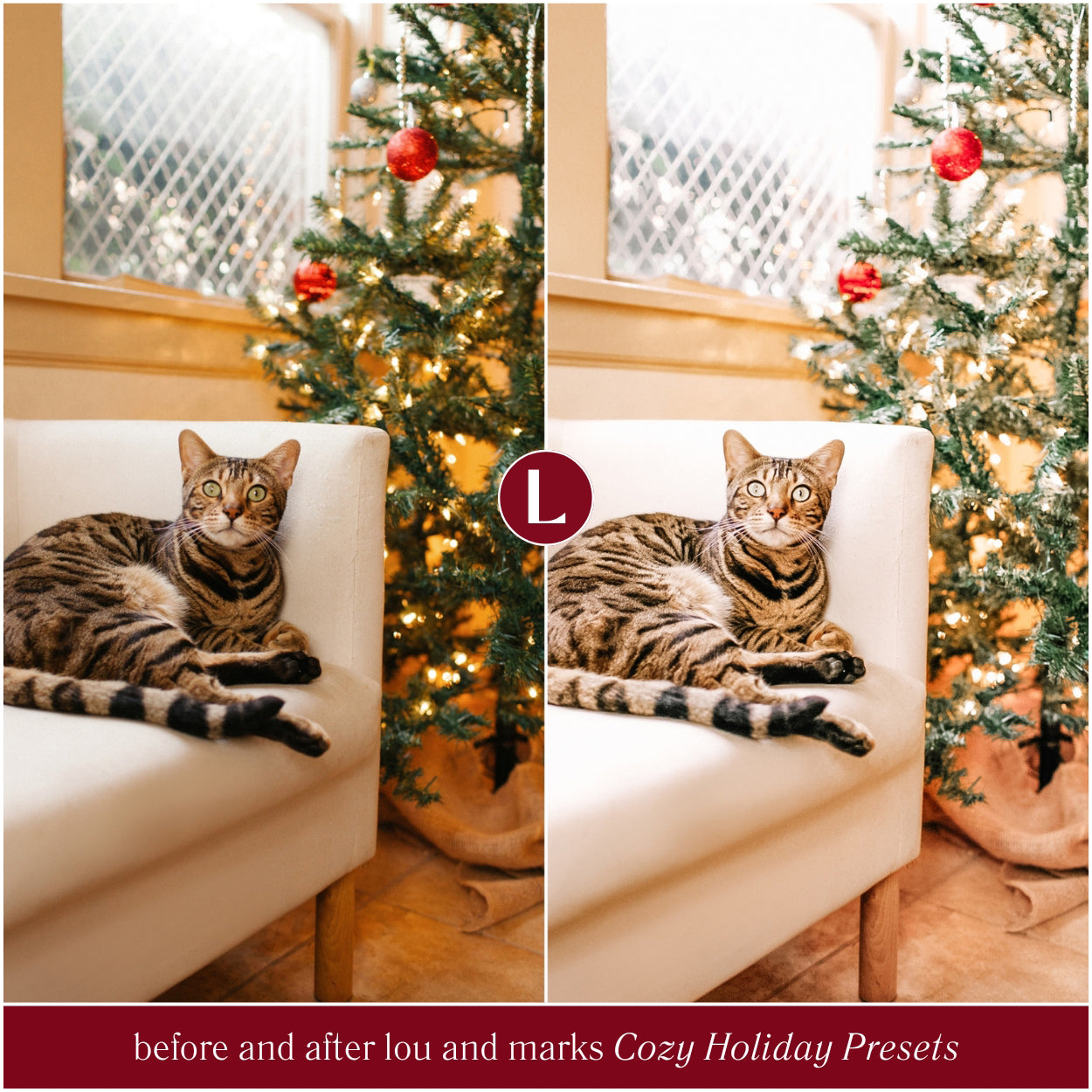 Cozy Holiday Lightroom Presets By Lou And Marks Presets For Christmas photo editing Cat