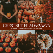 Chestnut Fall film Lightroom Presets For Adobe Lightroom and Adobe Photoshop for halloween and fall photo editing by lou and marks presets