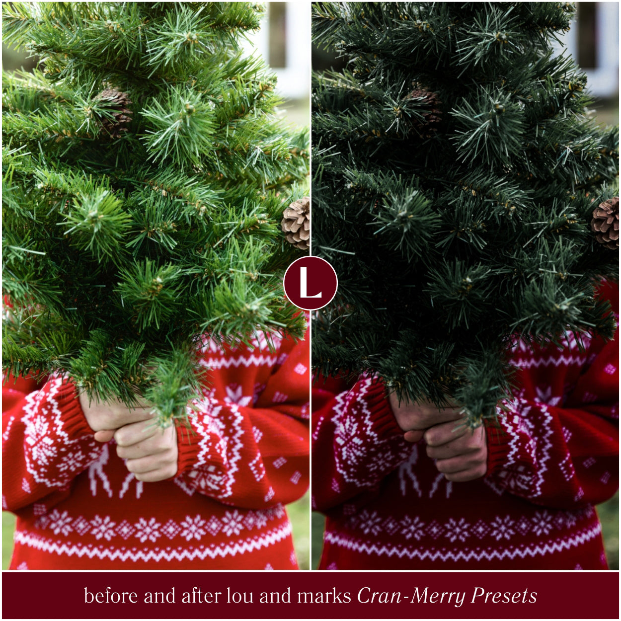 Cran-Merry Moody Christmas Lightroom Presets By Lou And Marks Presets For Photo Editing For Christmas Photo