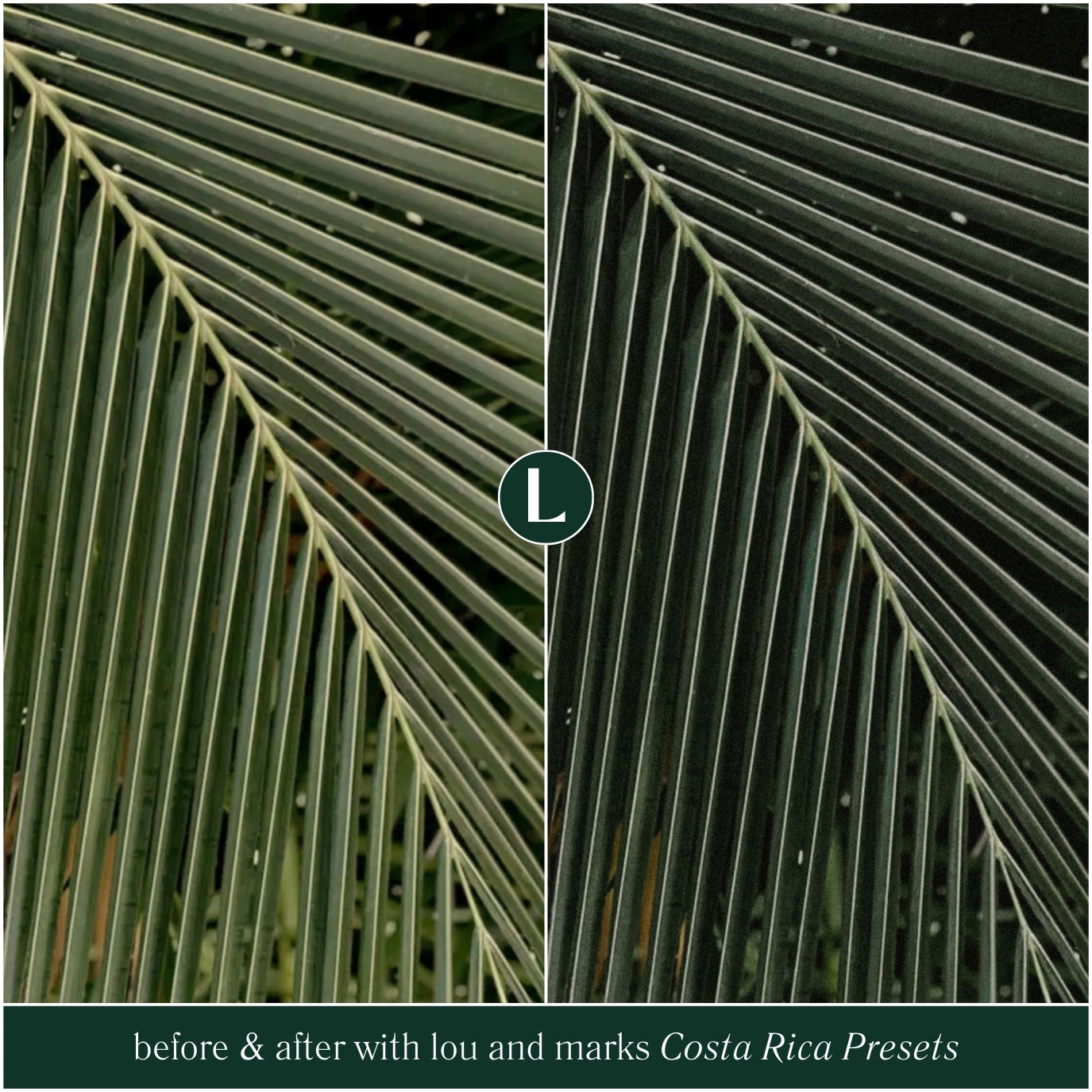 Costa Rica Travel Lightroom Presets for Instagram photo editing in Adobe Lightroom by Lou And Marks Presets