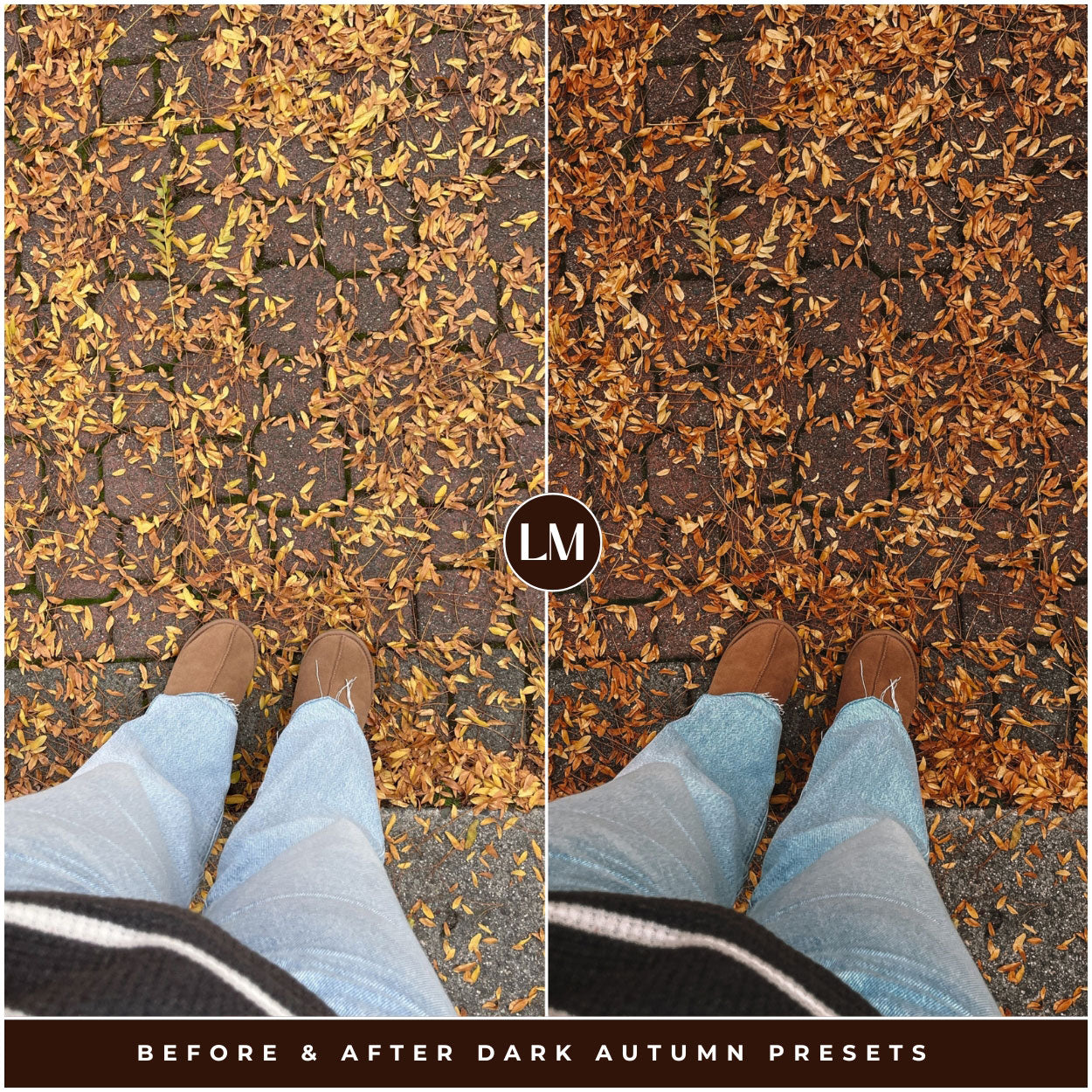Dark Autumn Lightroom Presets By Lou And Marks Presets