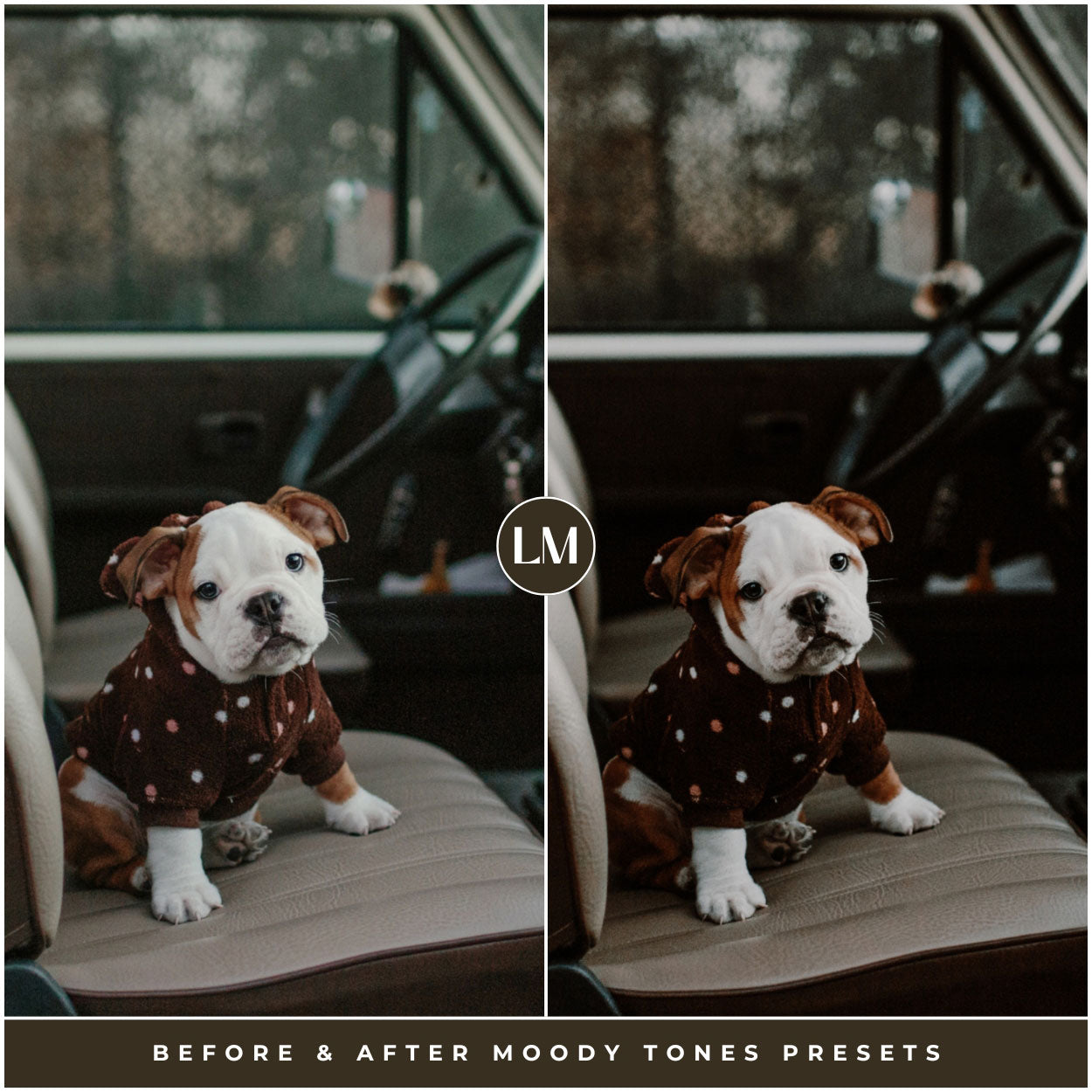 best moody Lightroom presets for instagram and photographers for Lightroom and photoshop editing photos by Lou and marks presets for pets