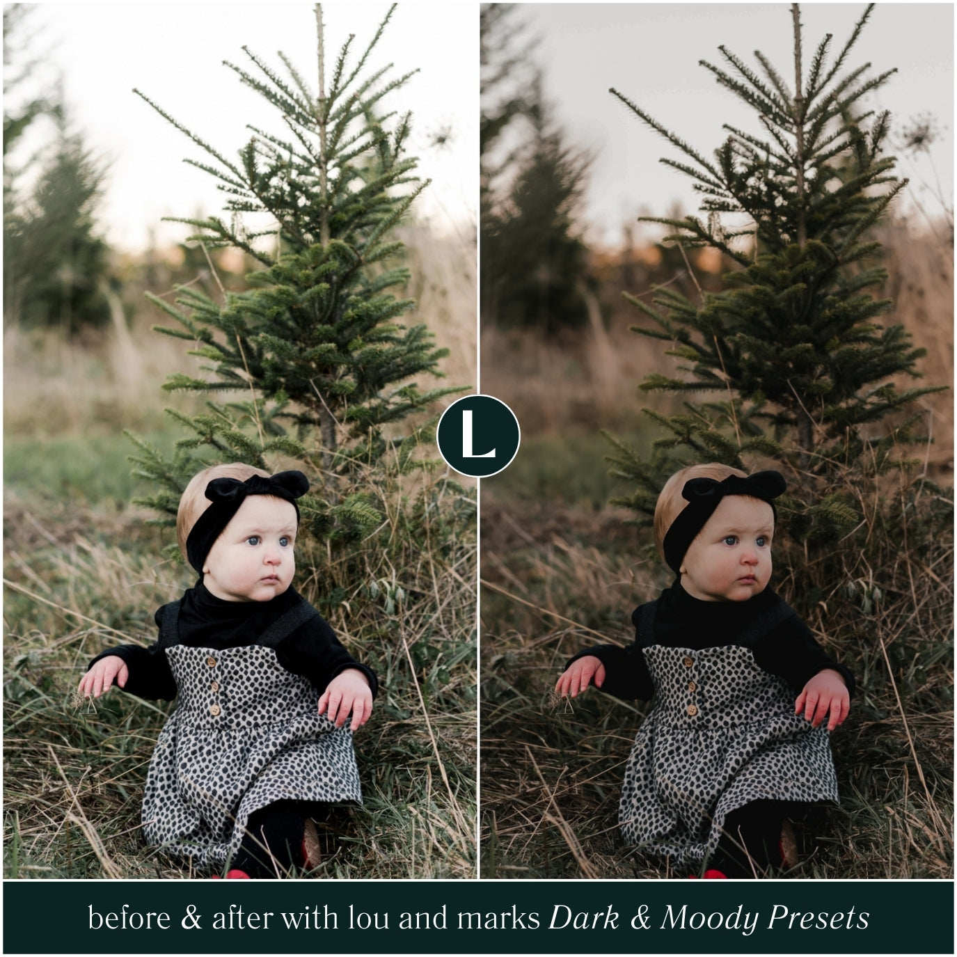 Dark And Moody Lightroom Presets For Photographer Photo Editing For Family Photos