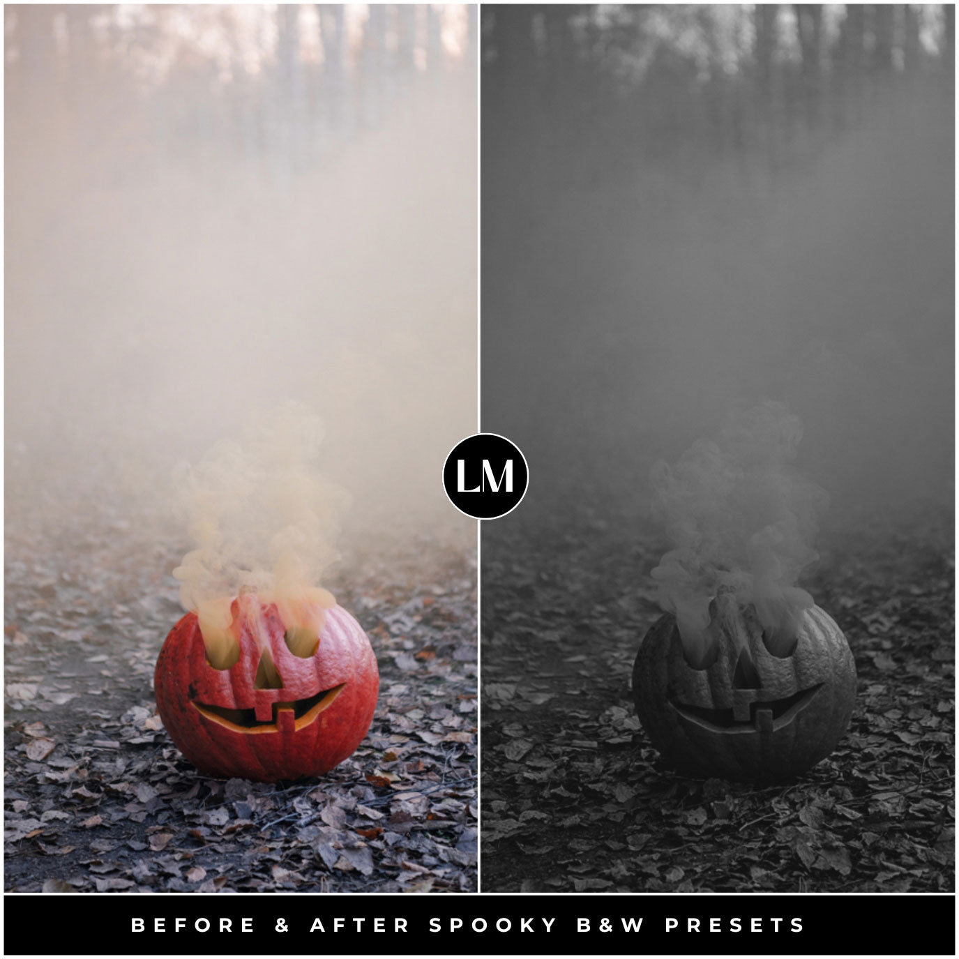 Spooky Black And White Lightroom Presets By Lou And Marks Presets