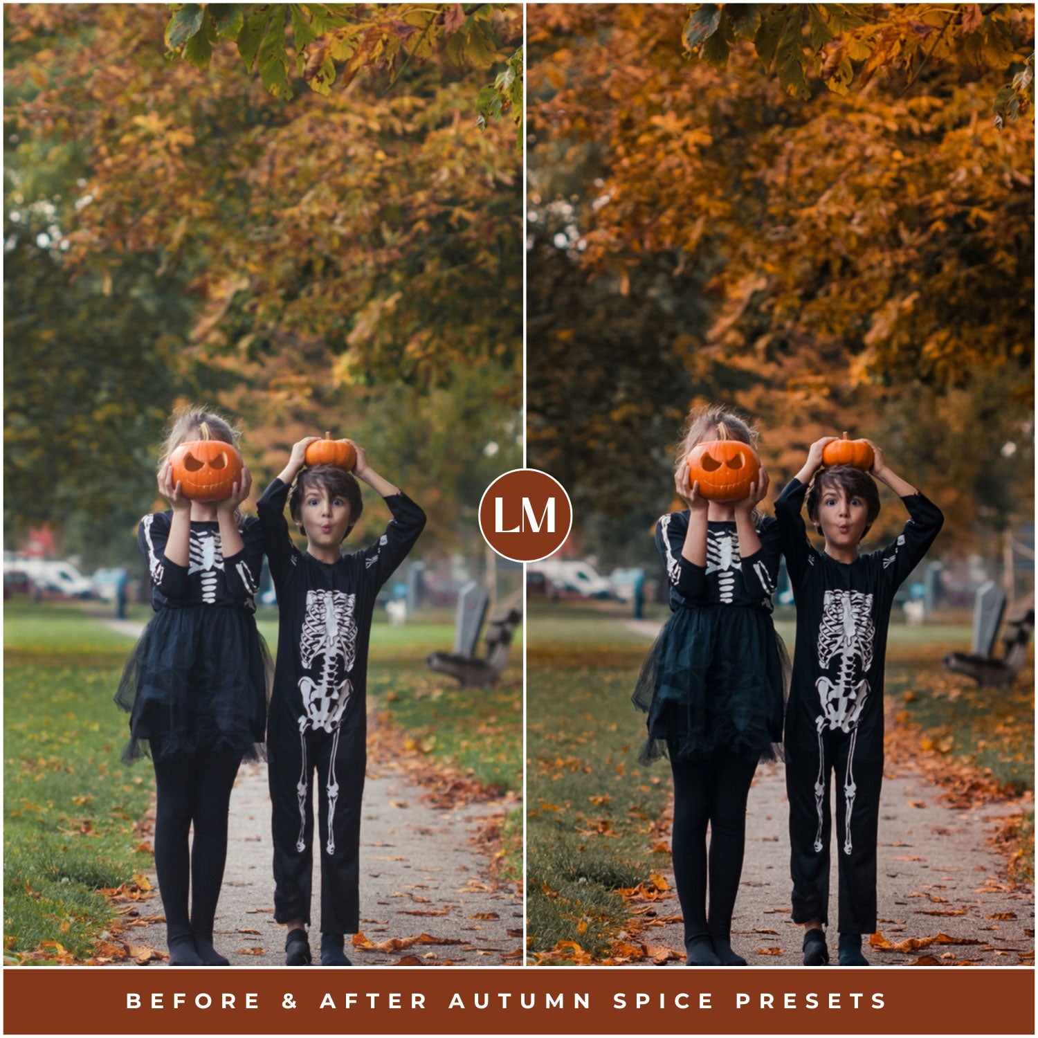 Autumn Spice Lightroom Presets by Lou and Marks Presets