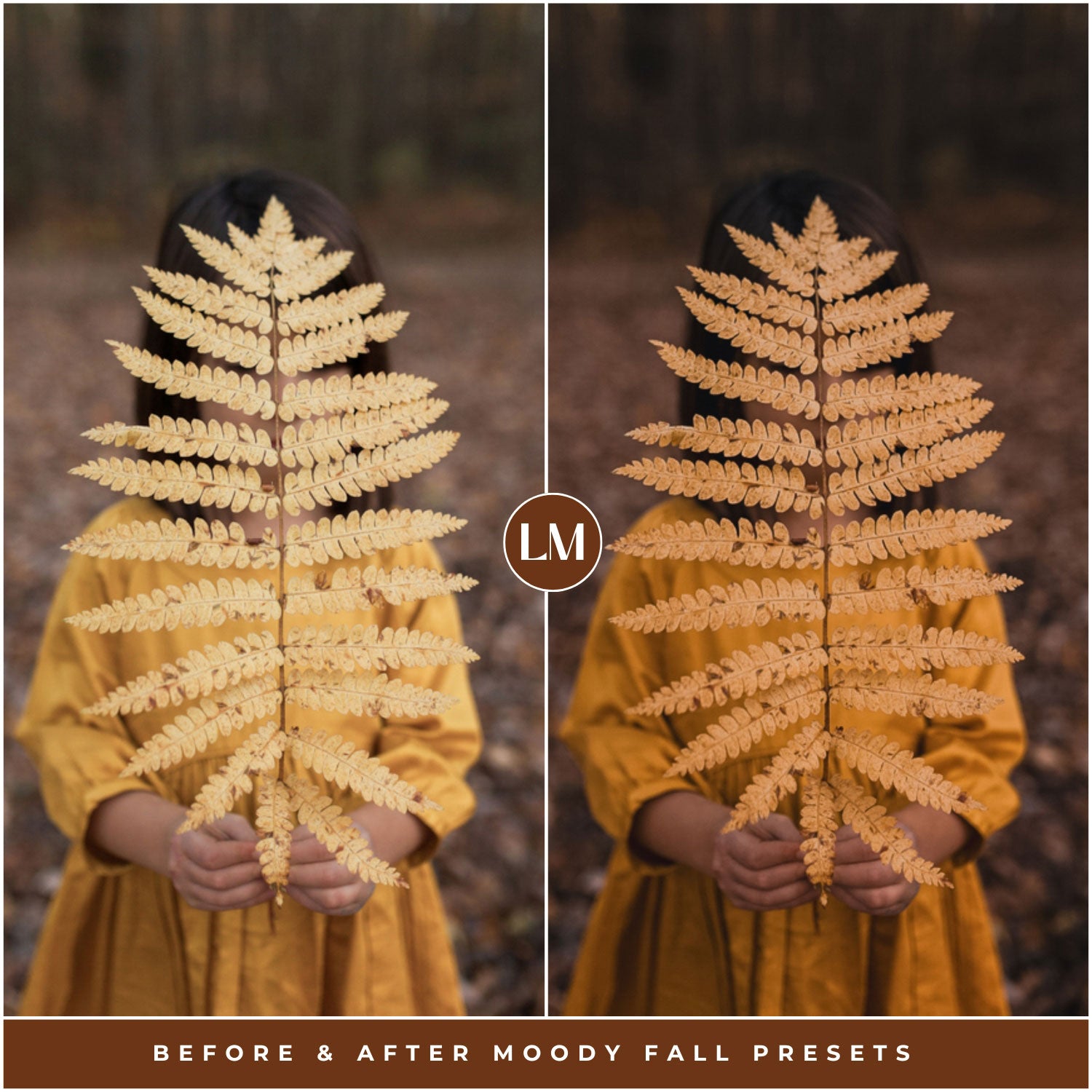 Moody Fall Lightroom Presets by Lou and Marks Presets