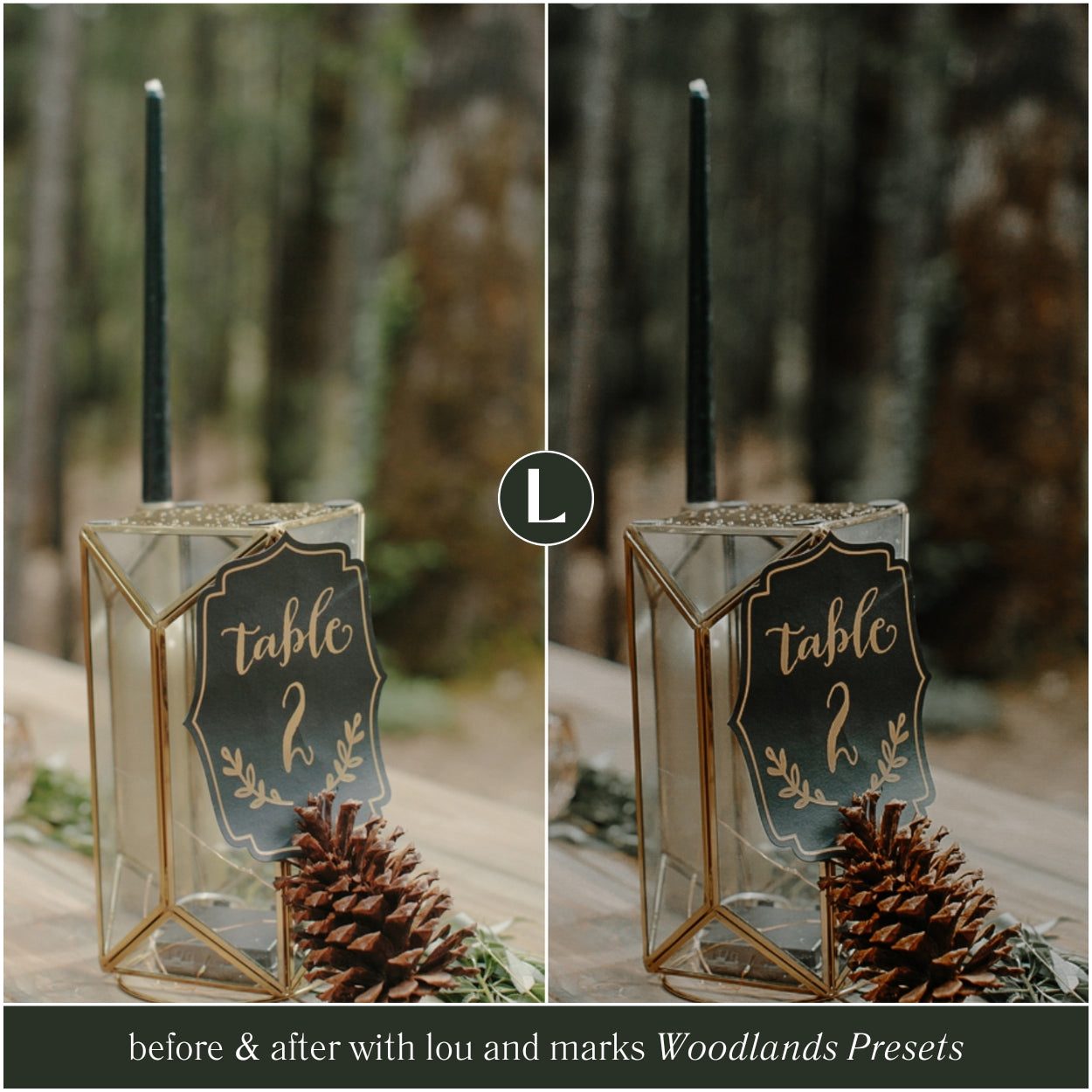 The Moody Woodlands Lightroom Presets For Photographers and Instagram By Lou And Marks Presets