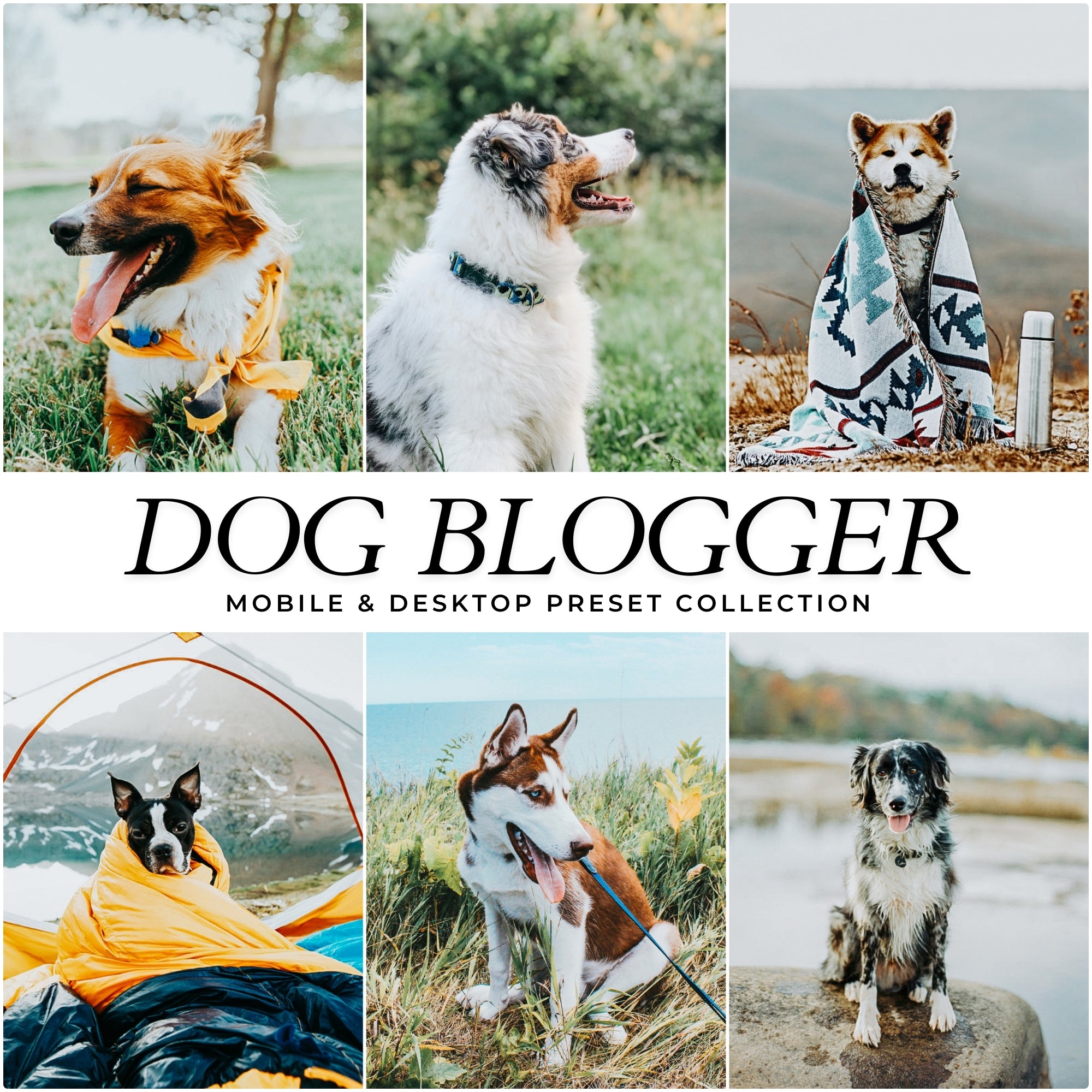 Dog Blogger Lightroom Presets For Photographers and Instagram Influencers Photo Editing In Adobe Lightroom By Lou And Marks Presets