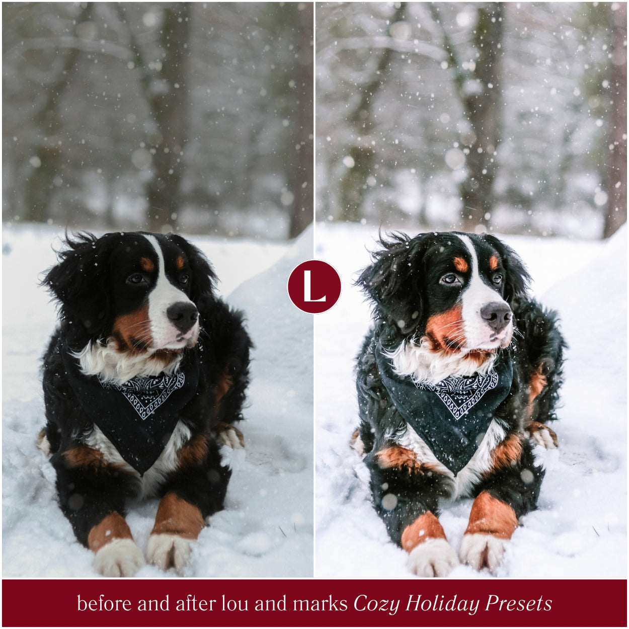 Cozy Holiday Lightroom Presets By Lou And Marks Presets For Christmas photo editing For Photographers