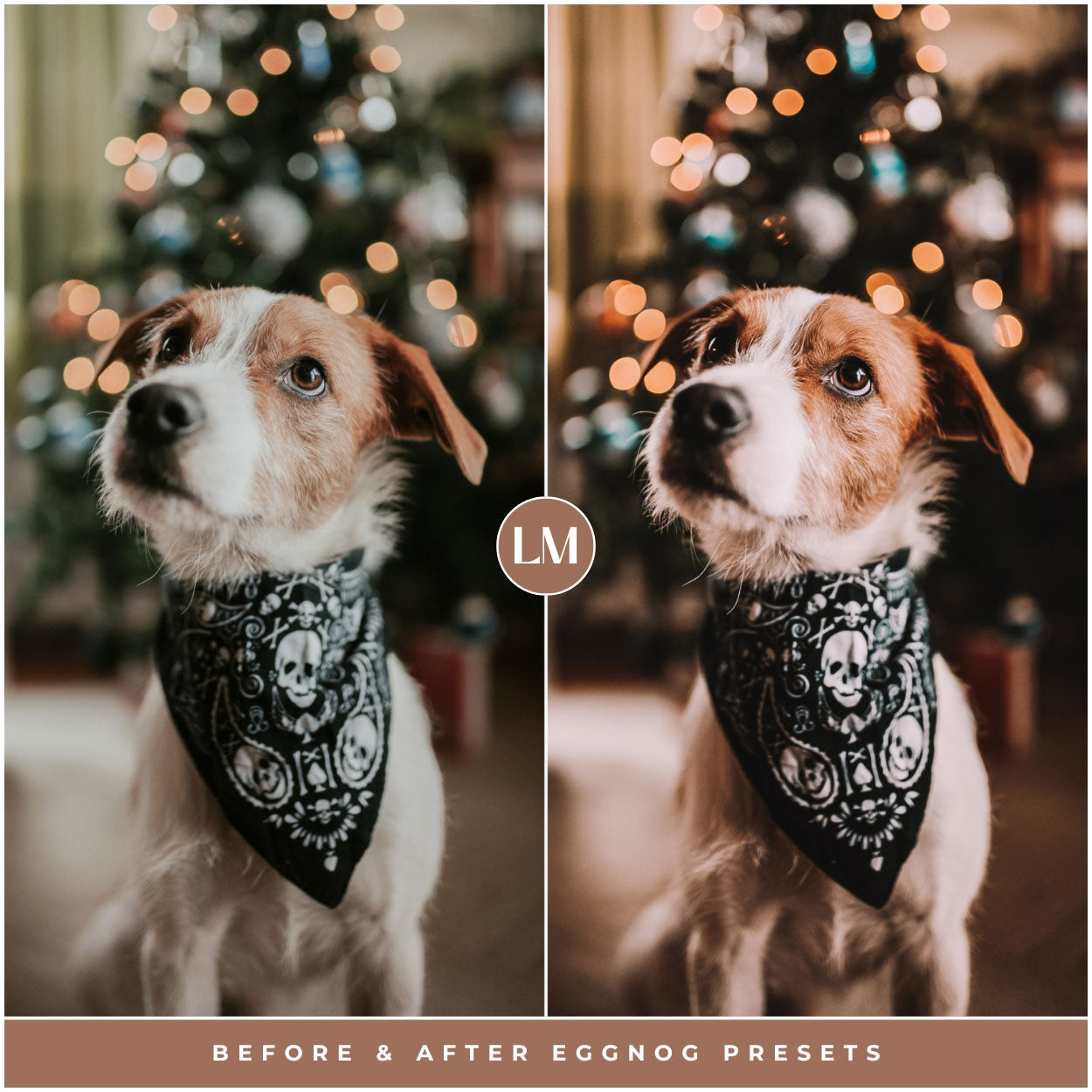 Best Eggnog Lightroom Presets For Christmas And Winter Photo Editing In Adobe Lightroom By Lou And Marks Presets